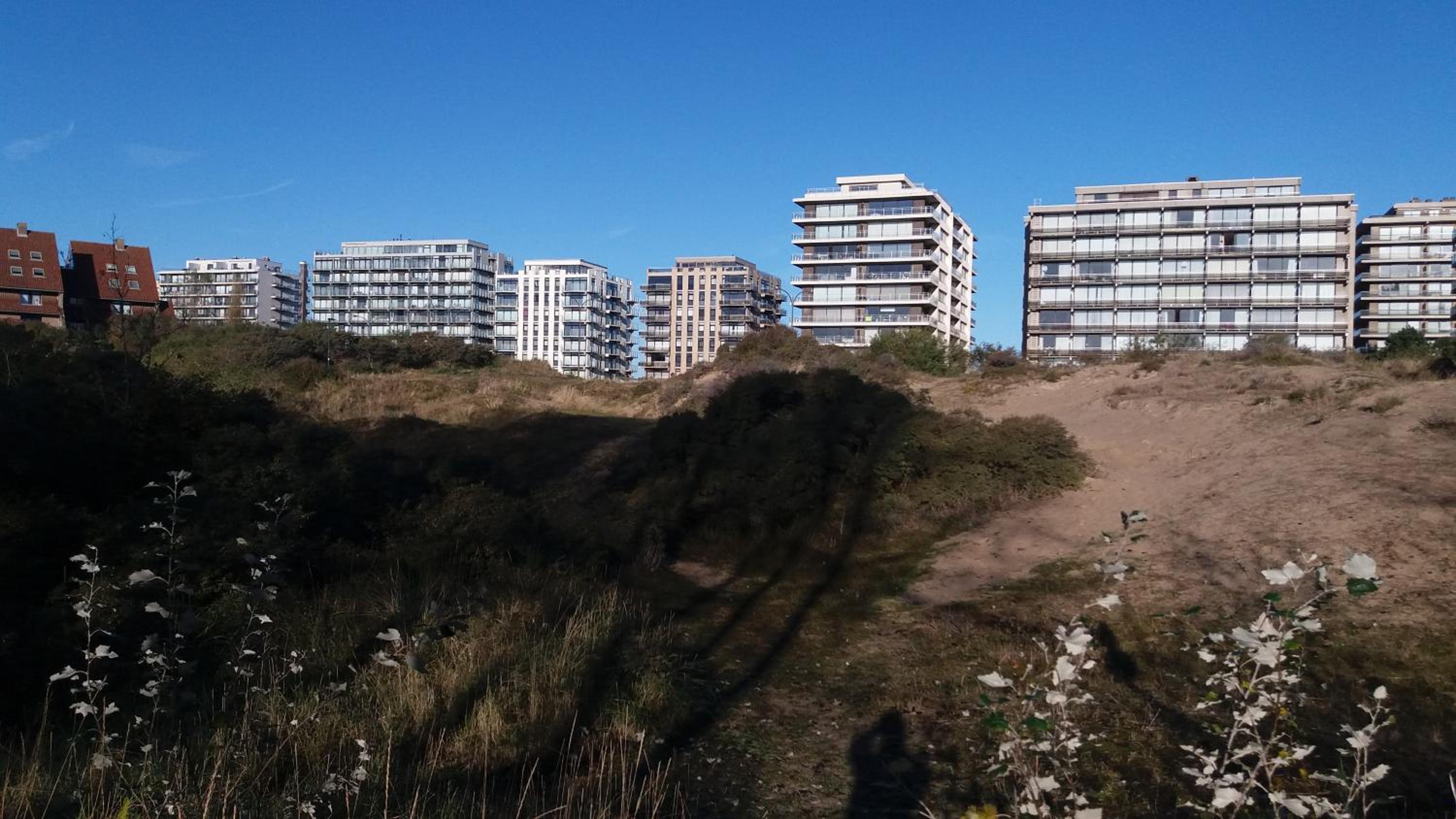 Neptunus De Panne view 4