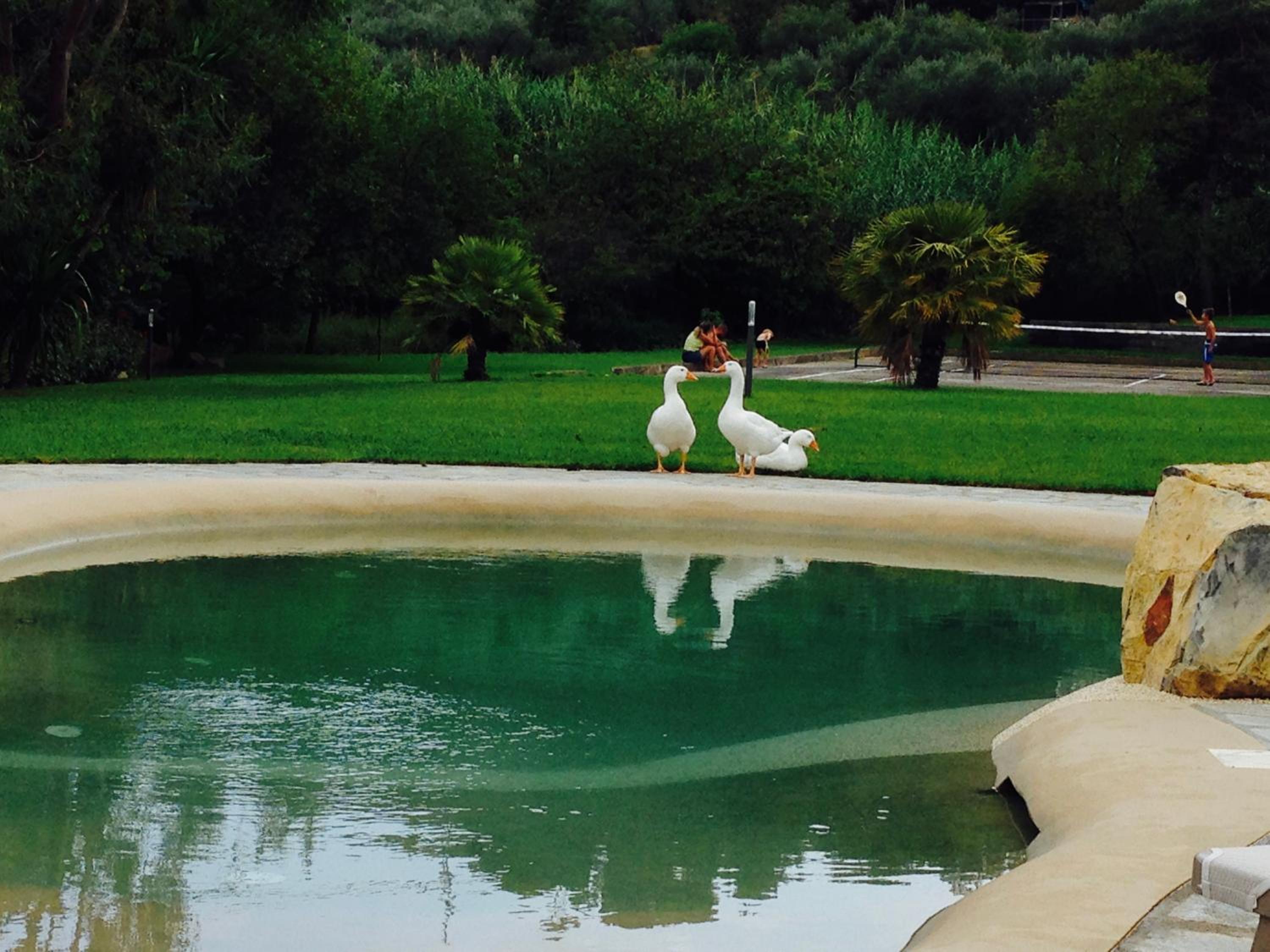 Agriturismo Ada Musso ss
