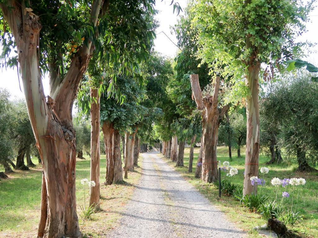 Agriturismo Ada Musso ss
