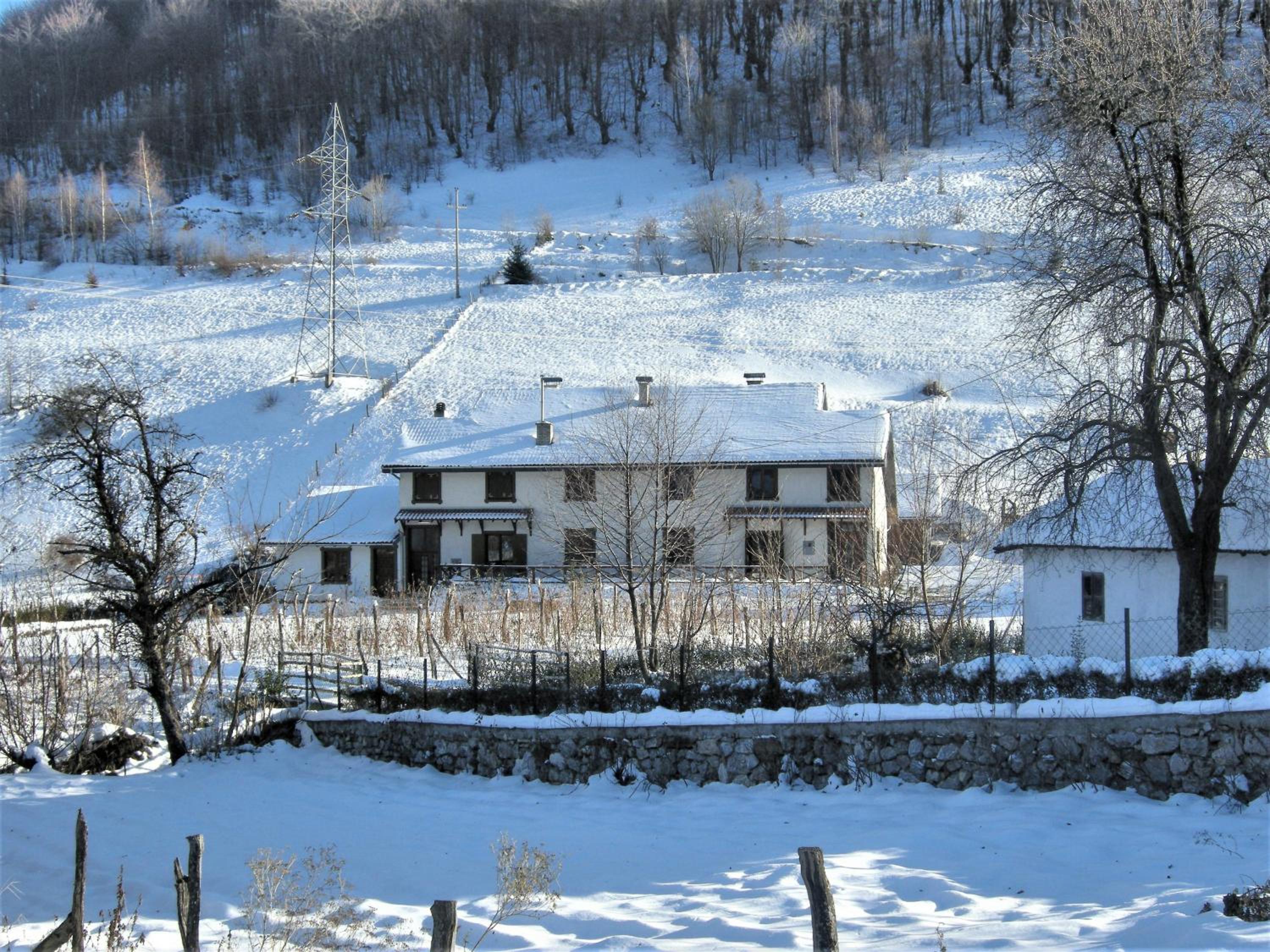 Photo 20