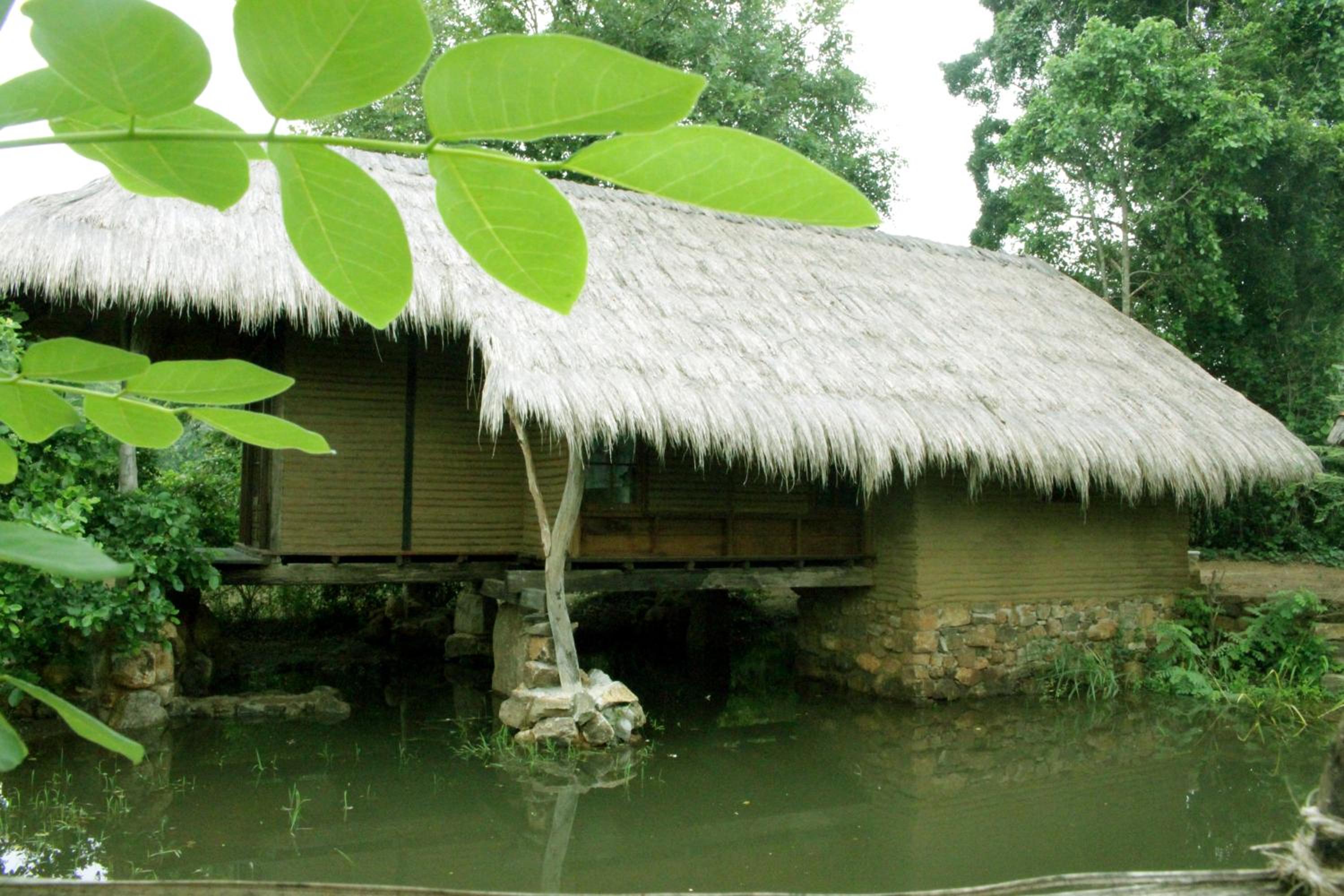 Athreya Ayurveda Ashram view 3