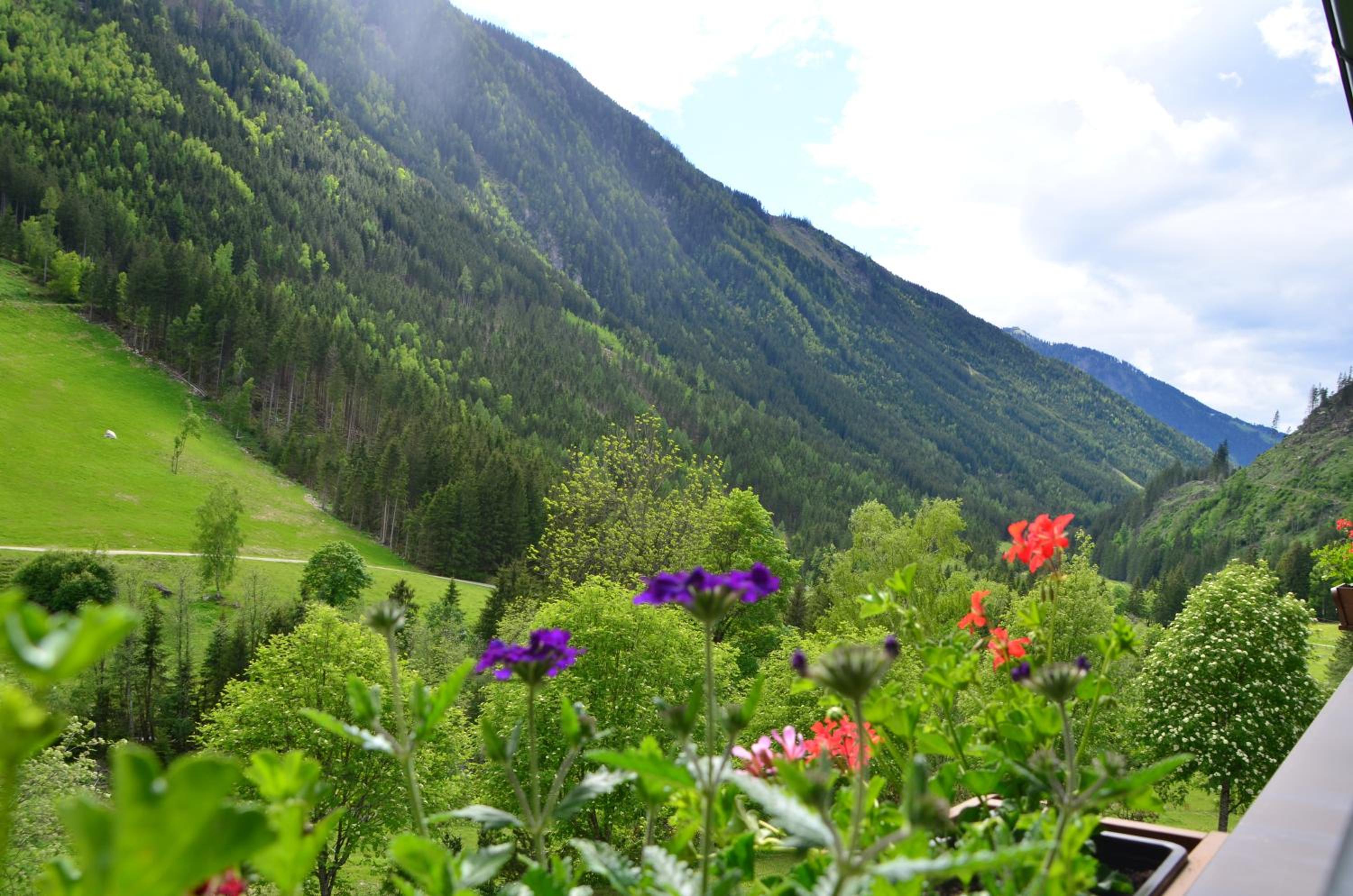 Tetter en Schladming