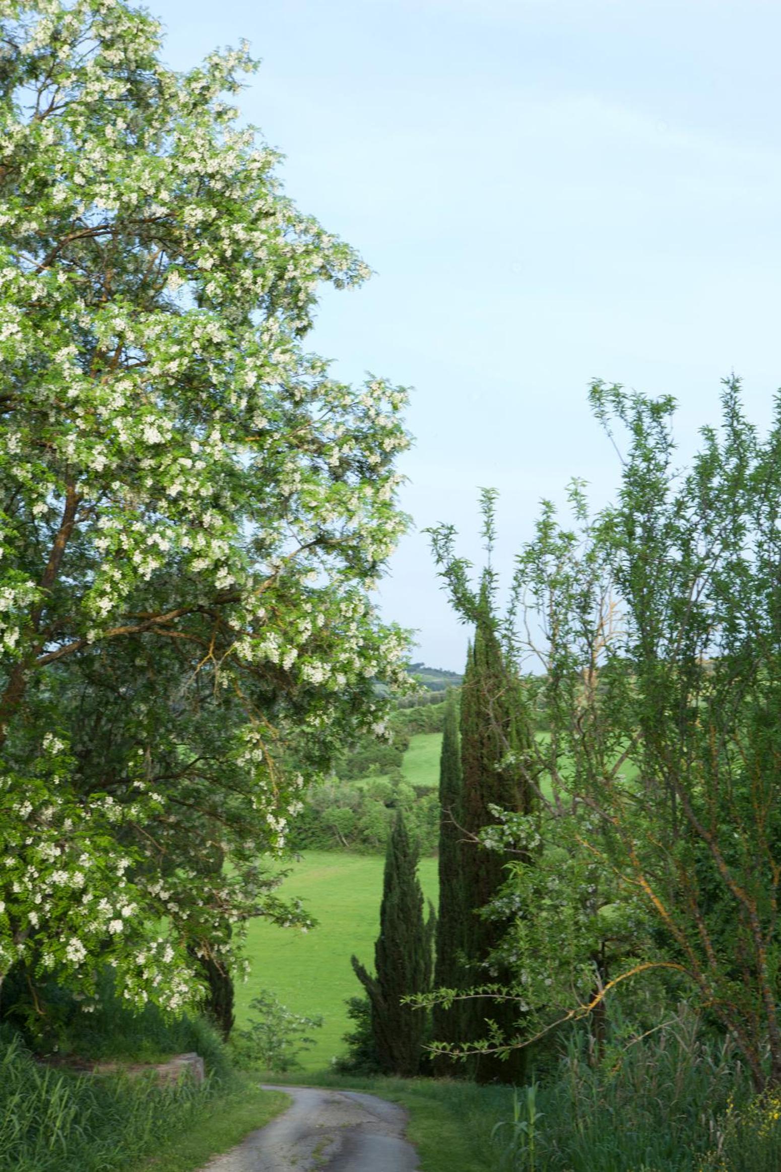 Le Mandrie di Ripalta