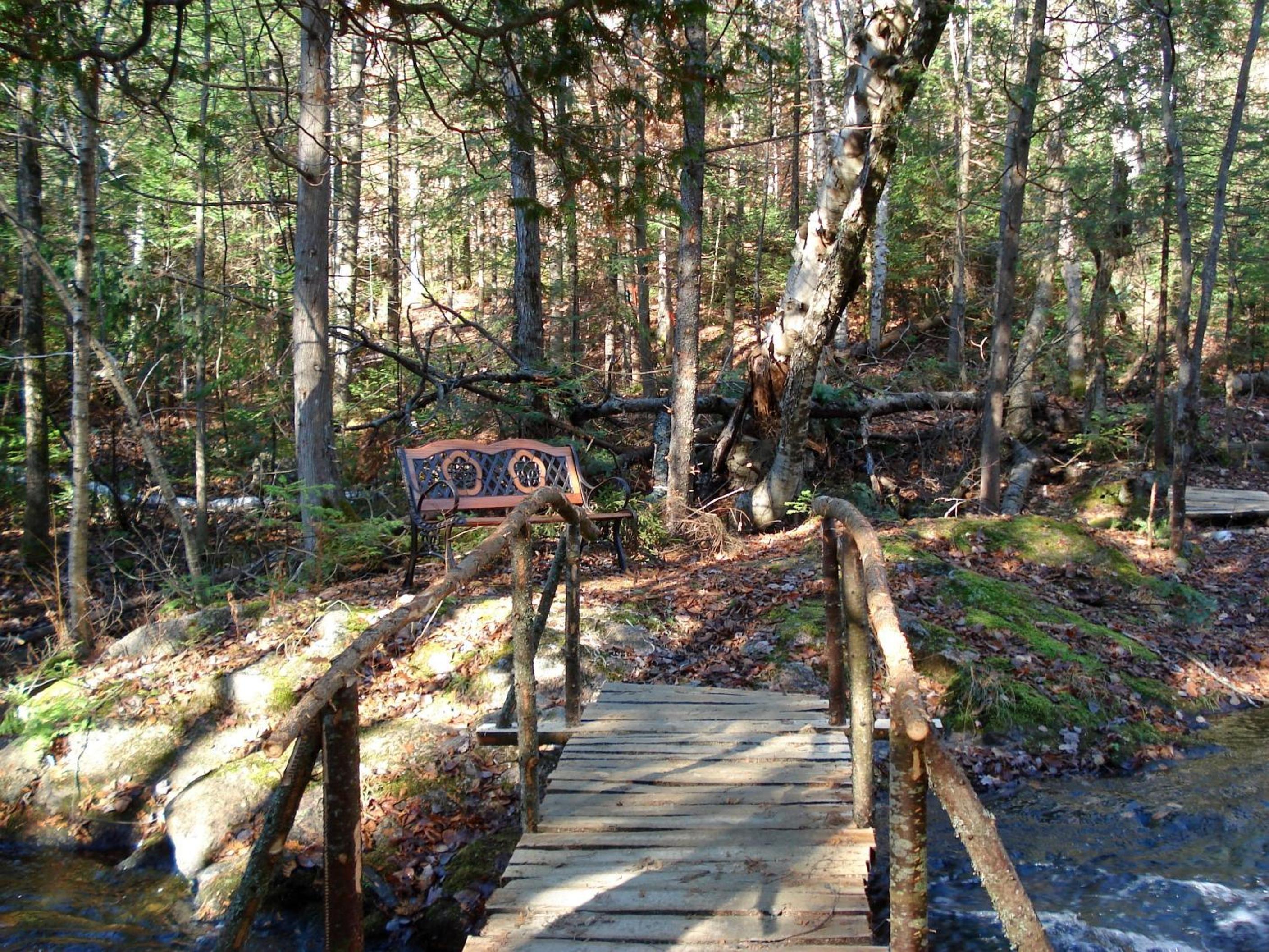 Photo 44