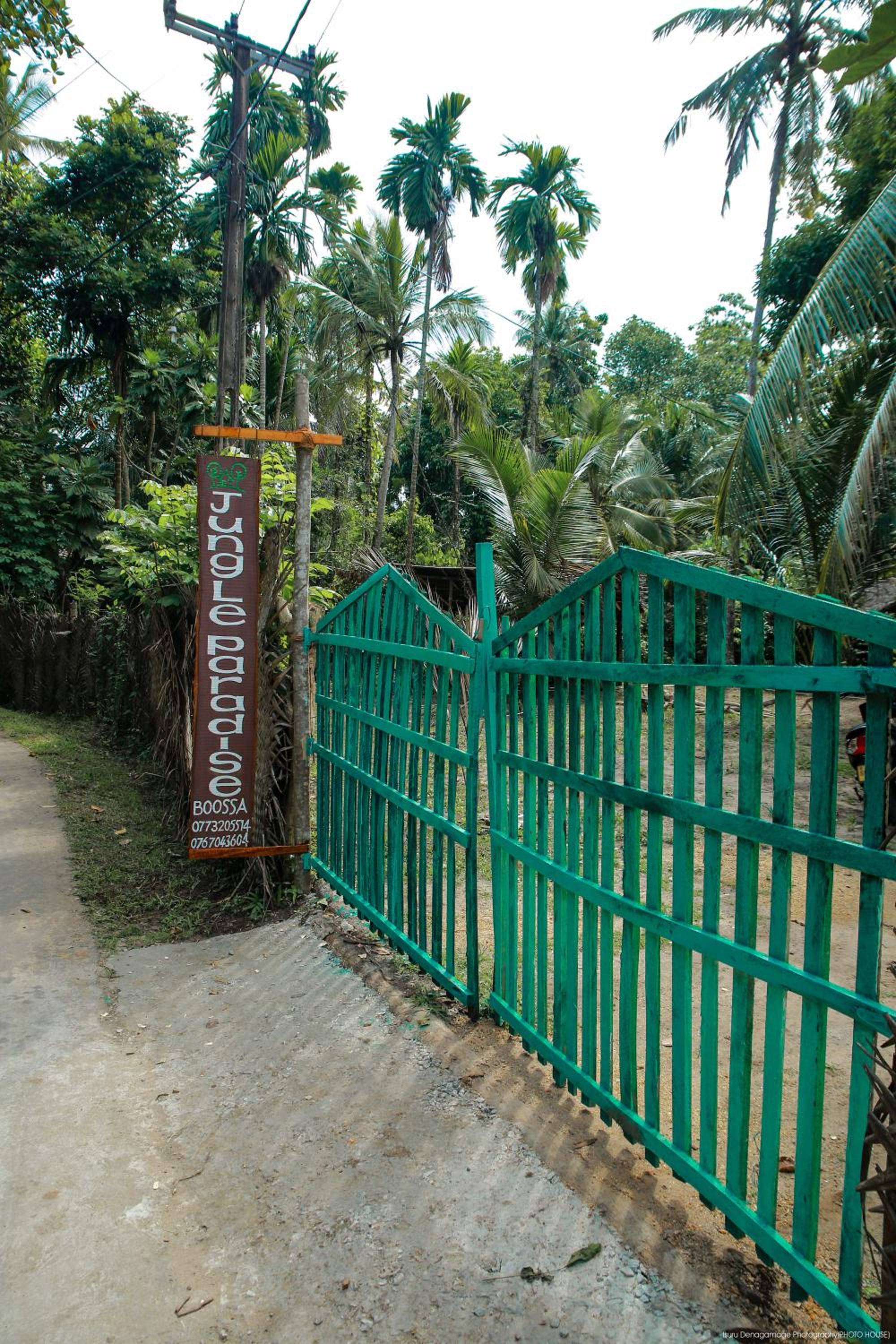 Jungle Paradise