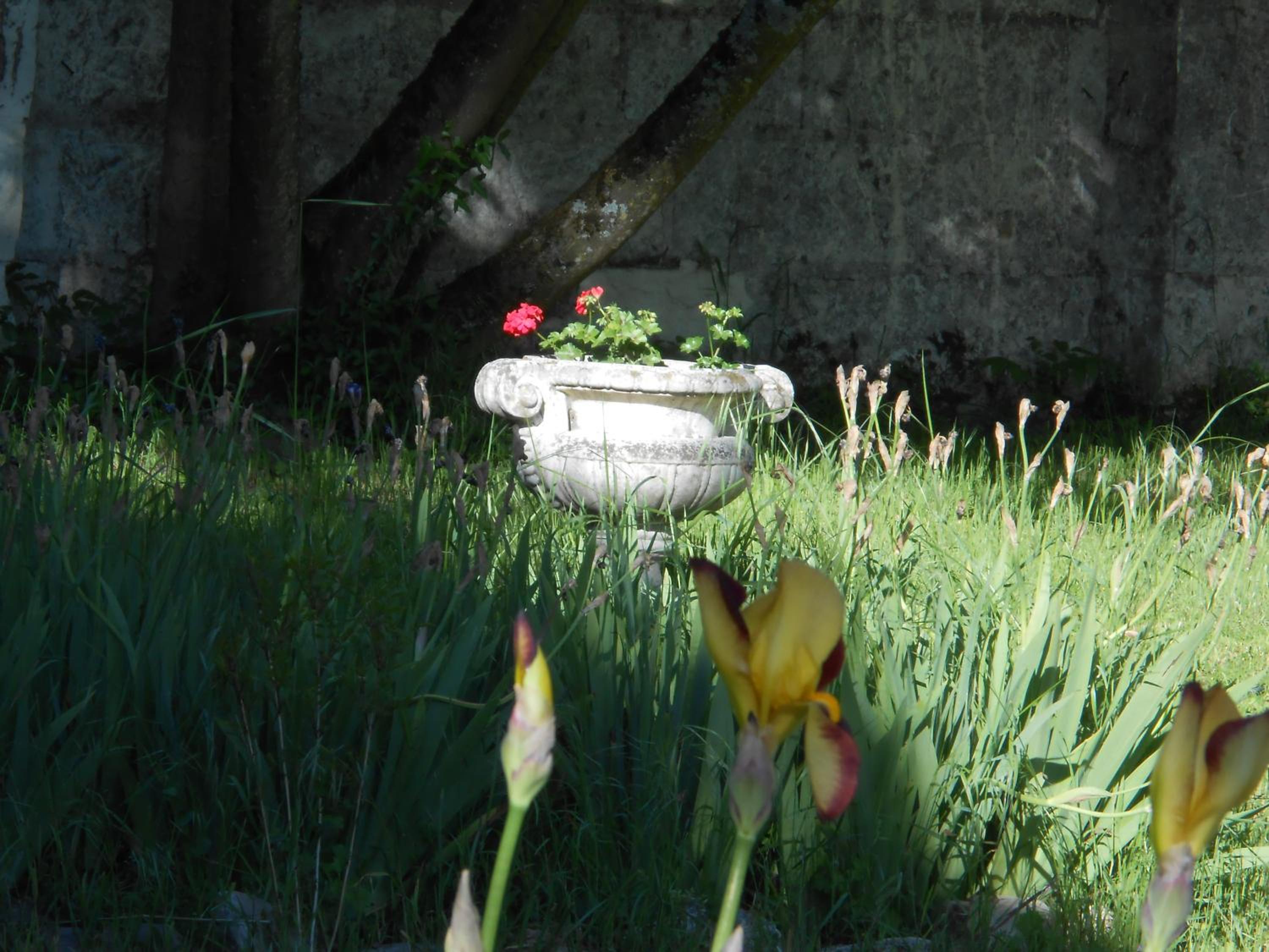 Photo 36