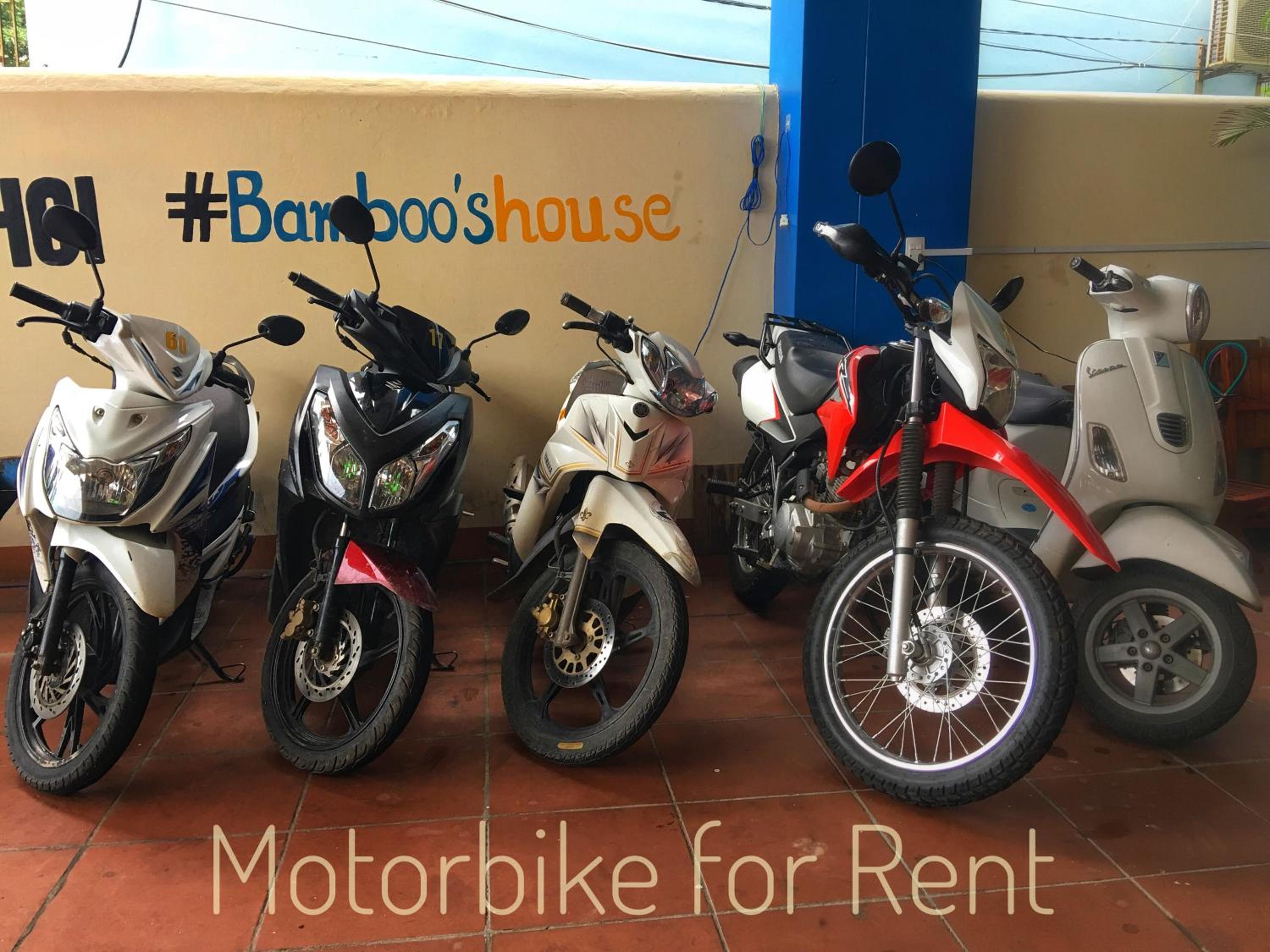 Bamboo's House
