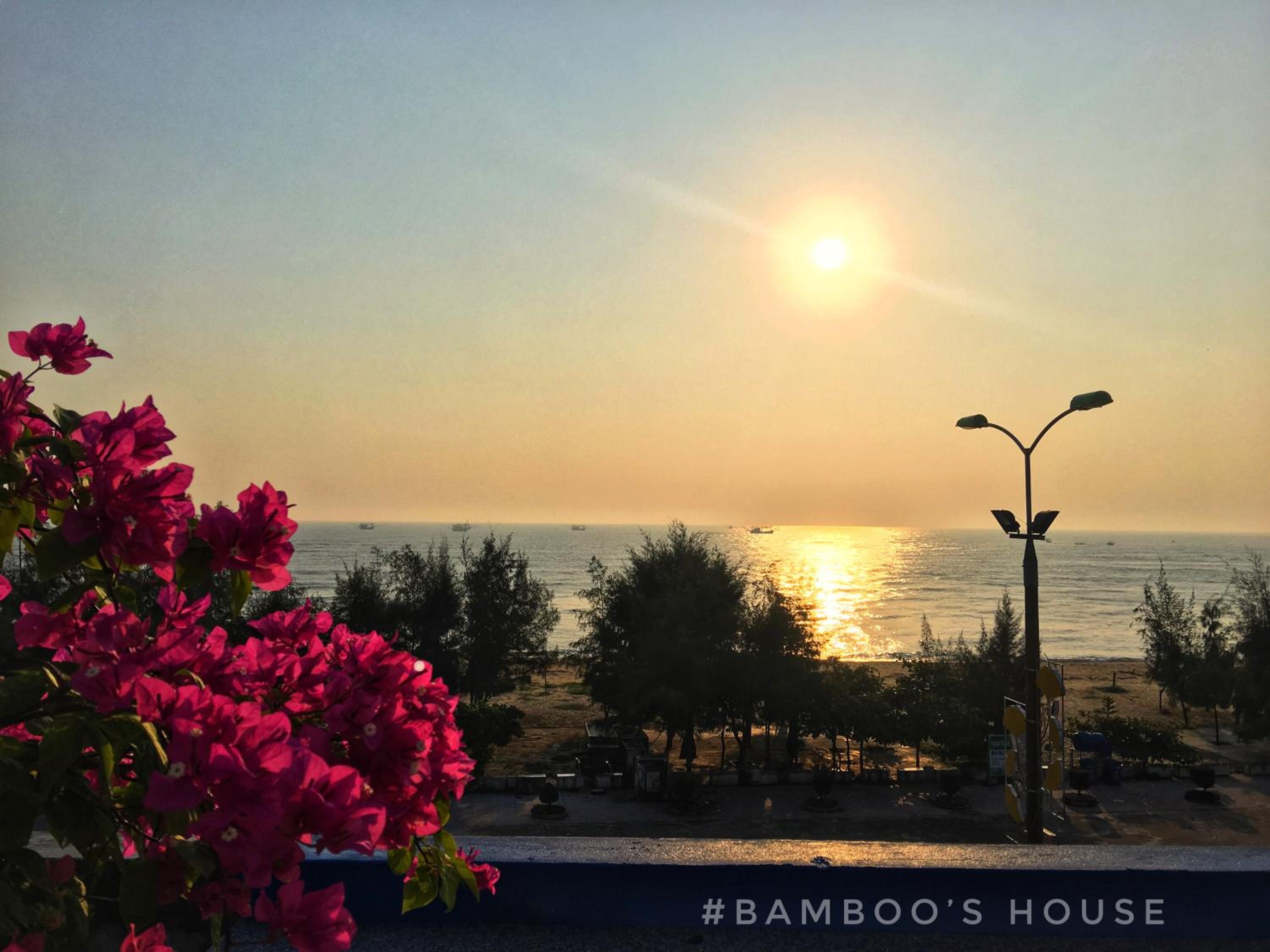 Bamboo's House