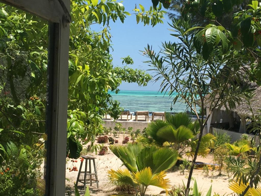 Driftwood Beach Lodge