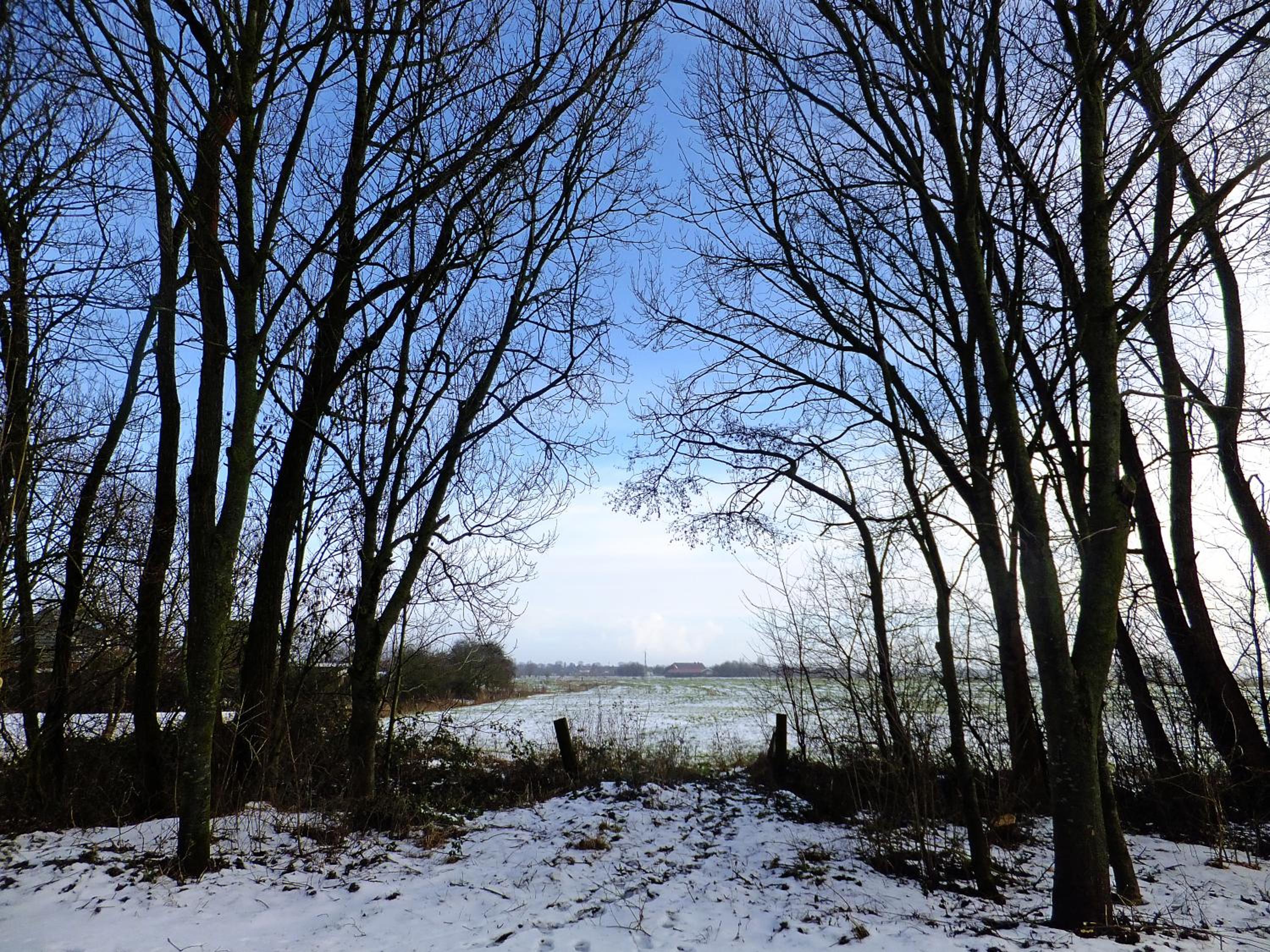 Haus Swantje