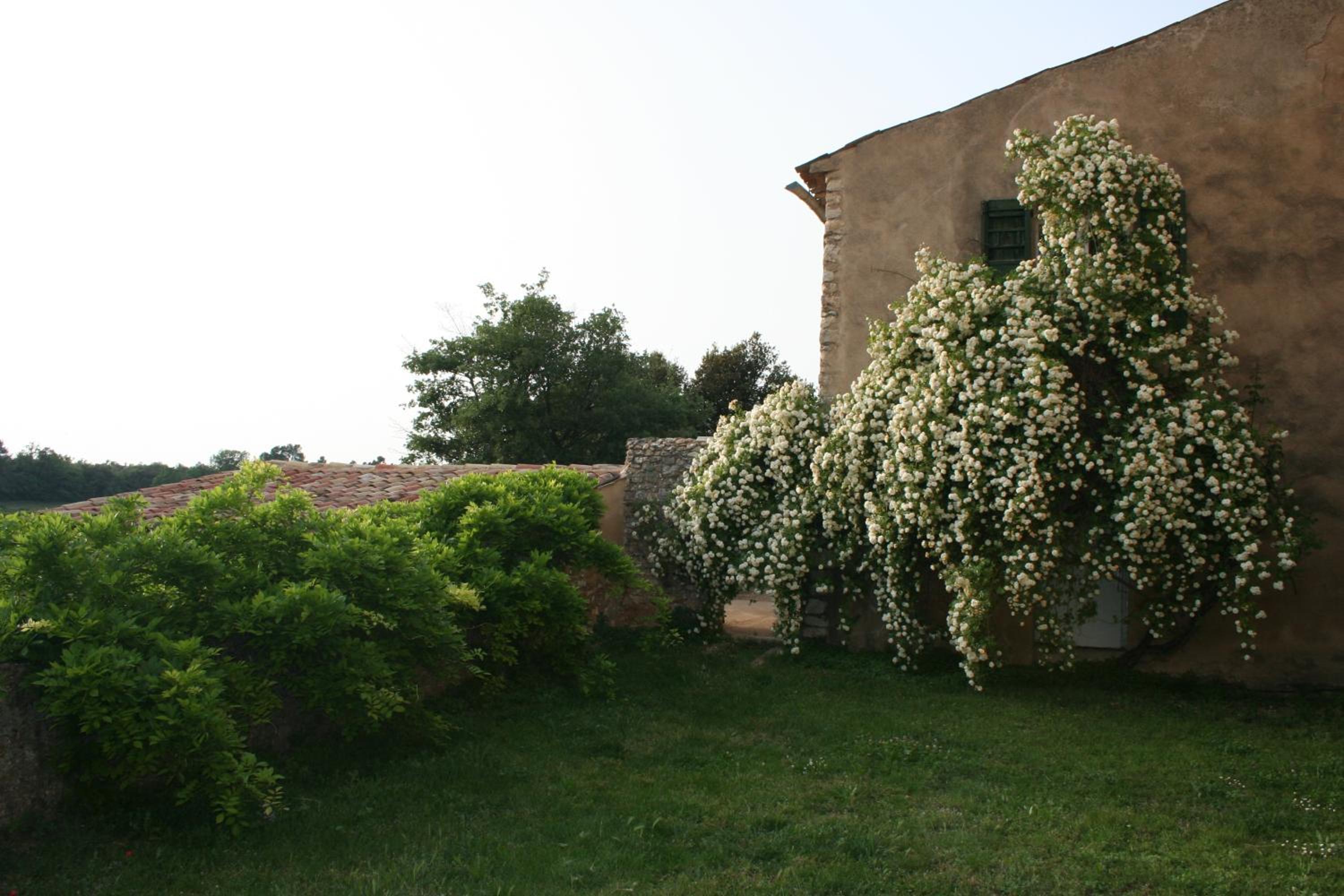 Photo 30
