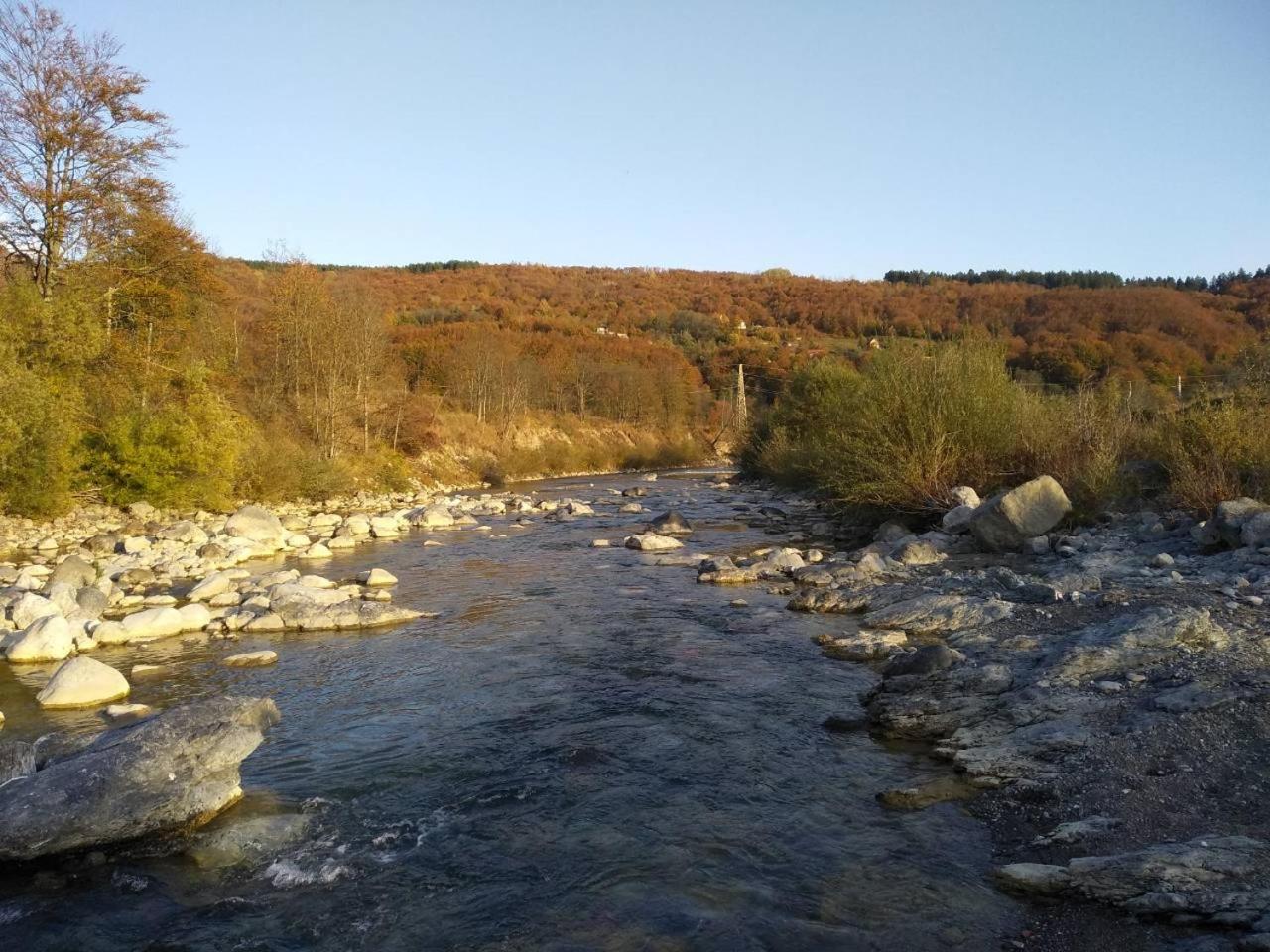 Photo 45