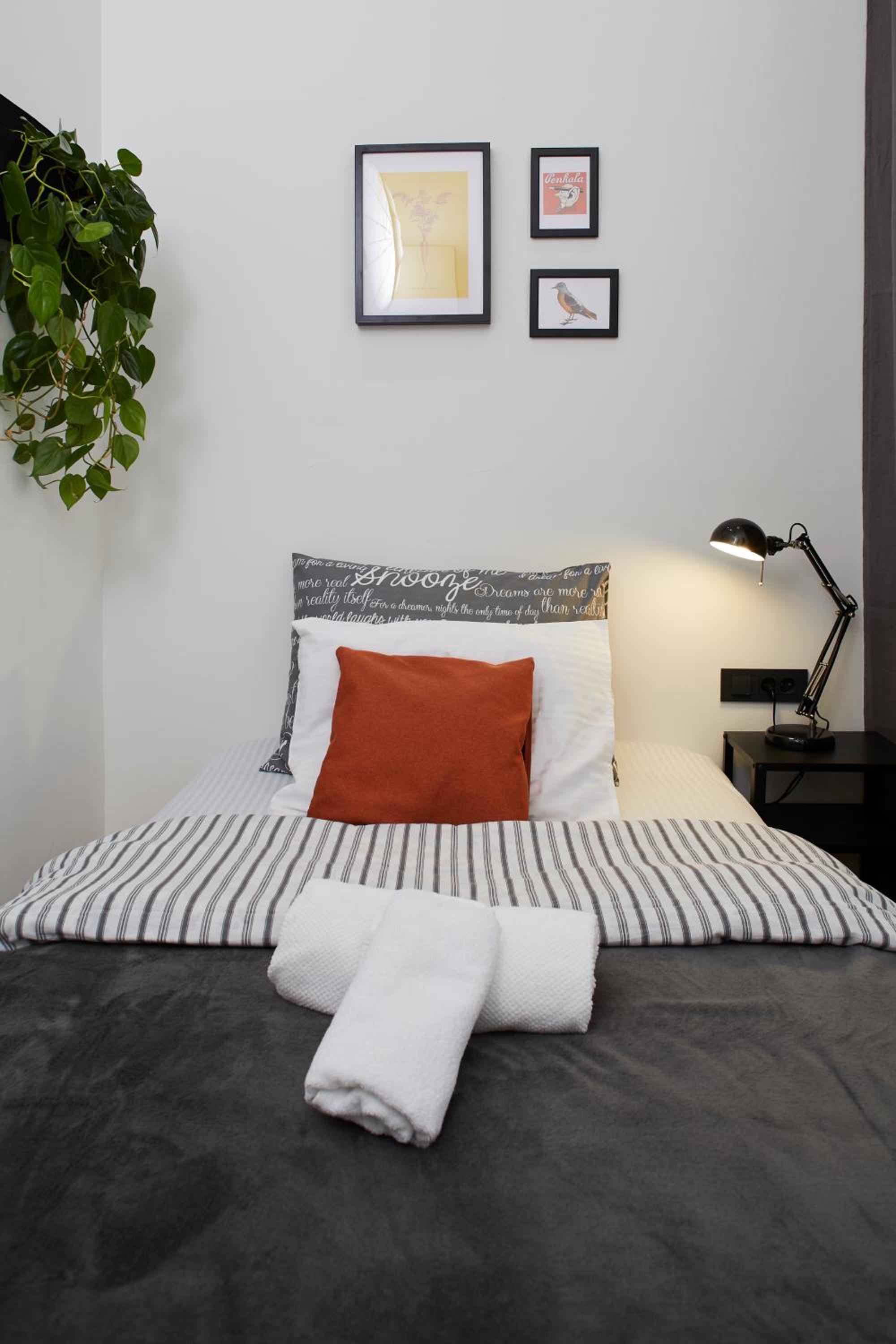 Zest and Nest Apartments in the center