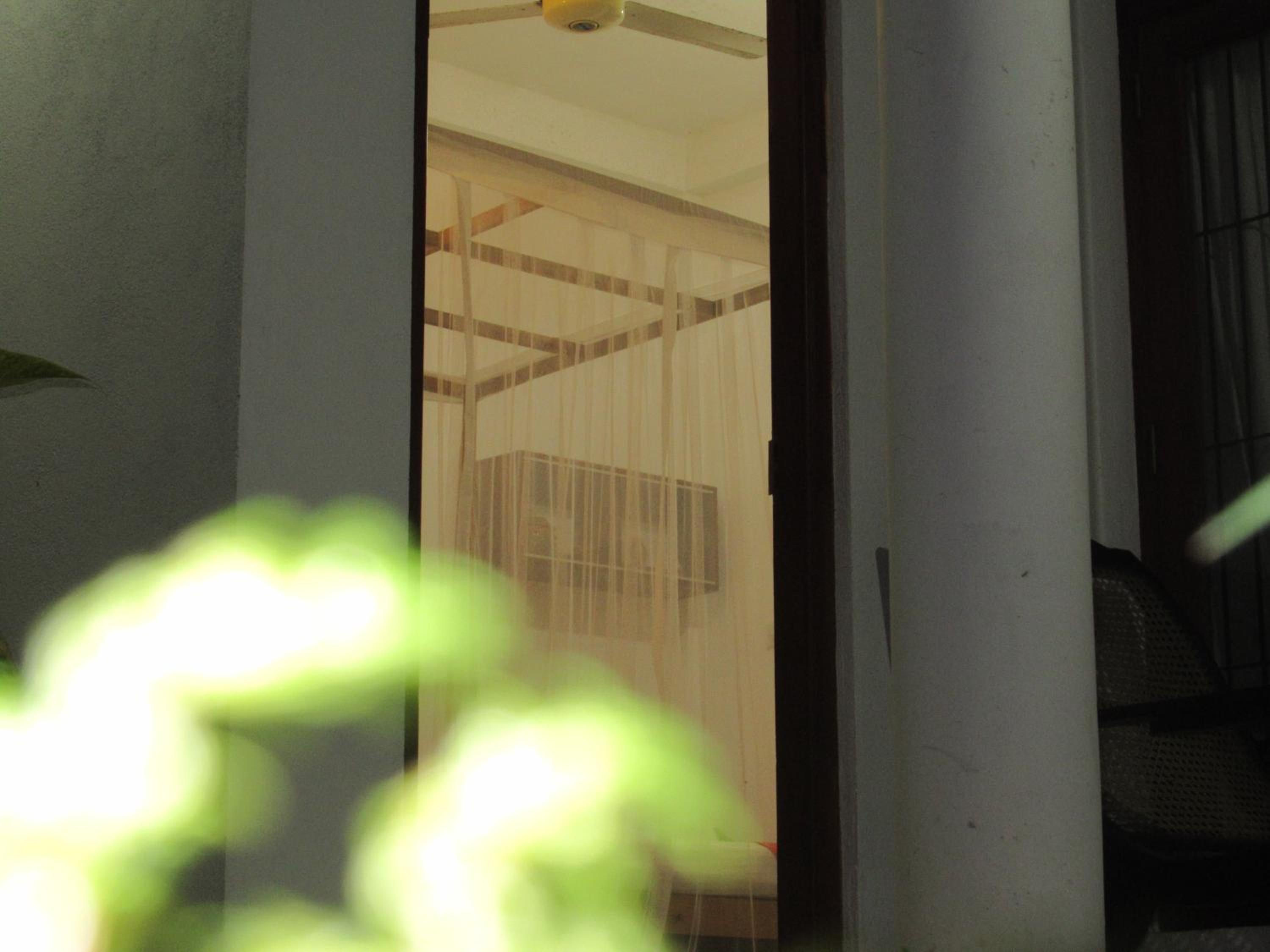 Photo 49