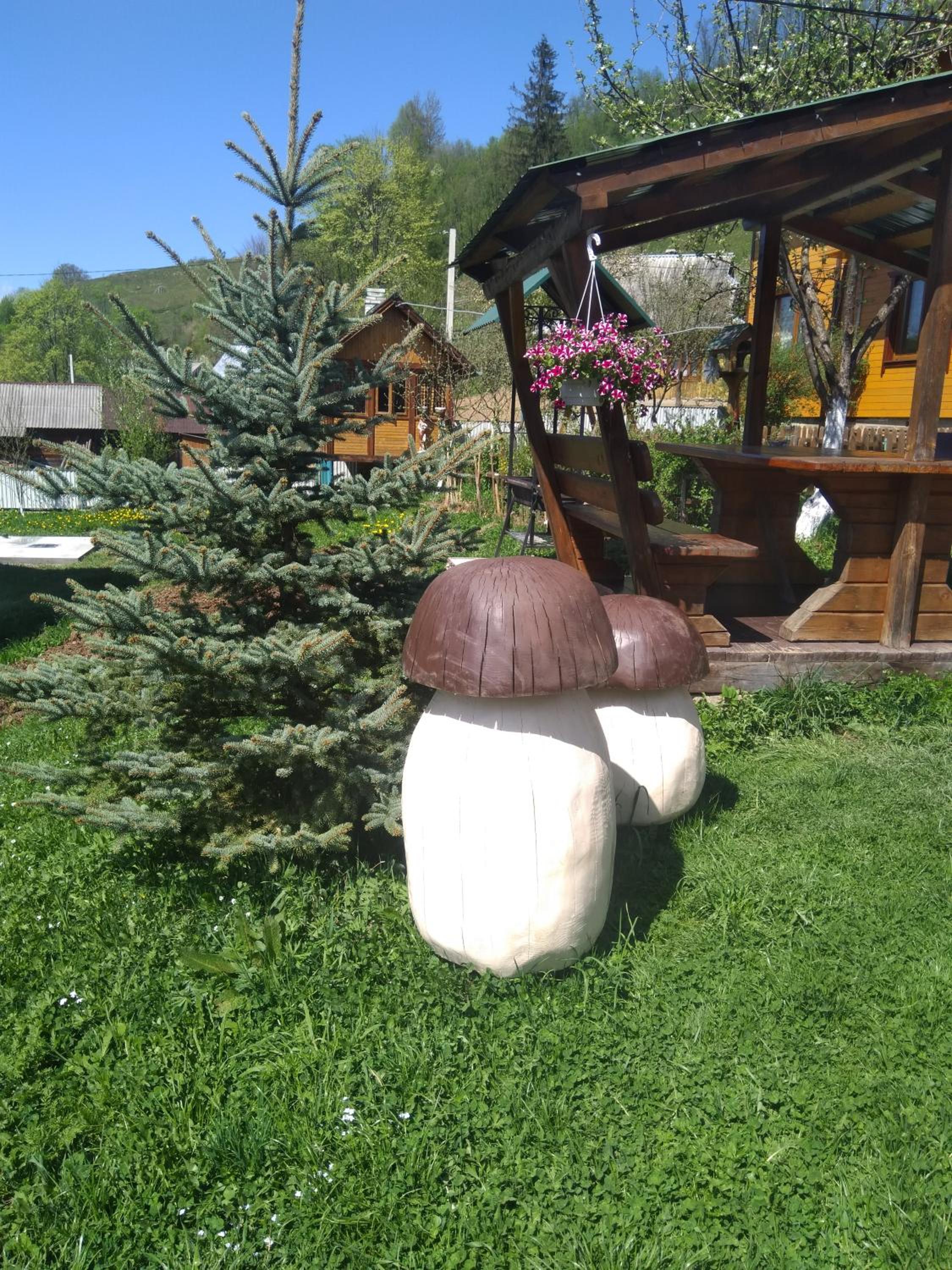 Photo 38