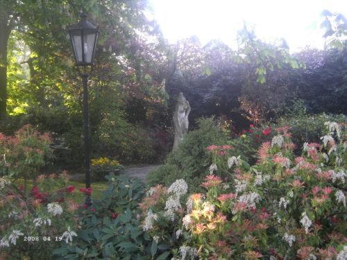 Photo 30