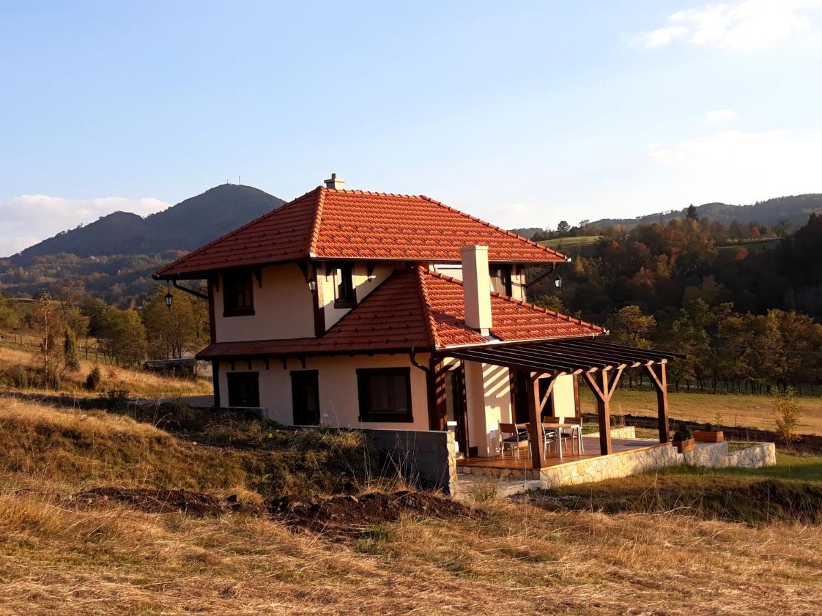 Wass House view 2