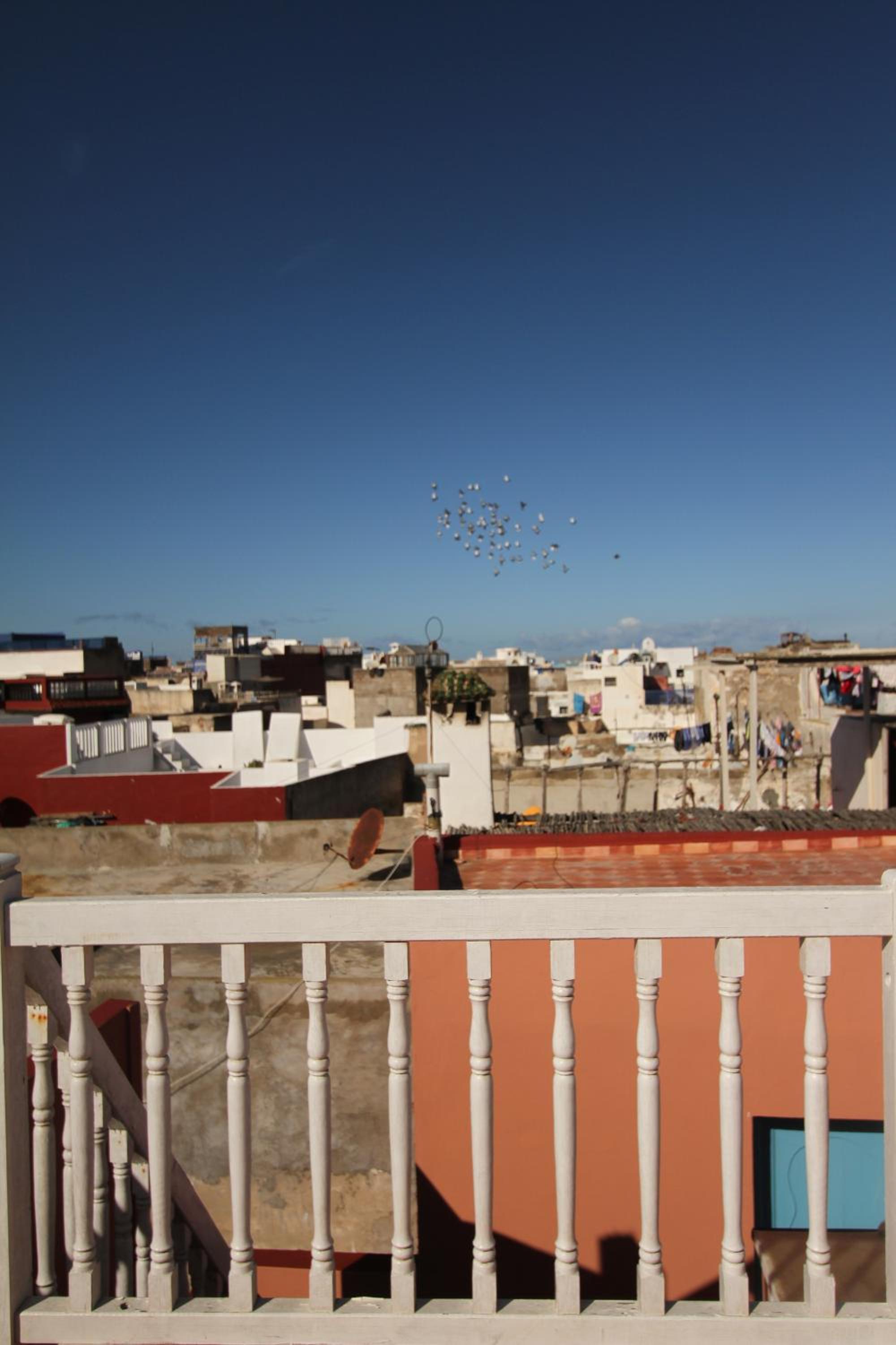 Dar Tranquille - Image 4