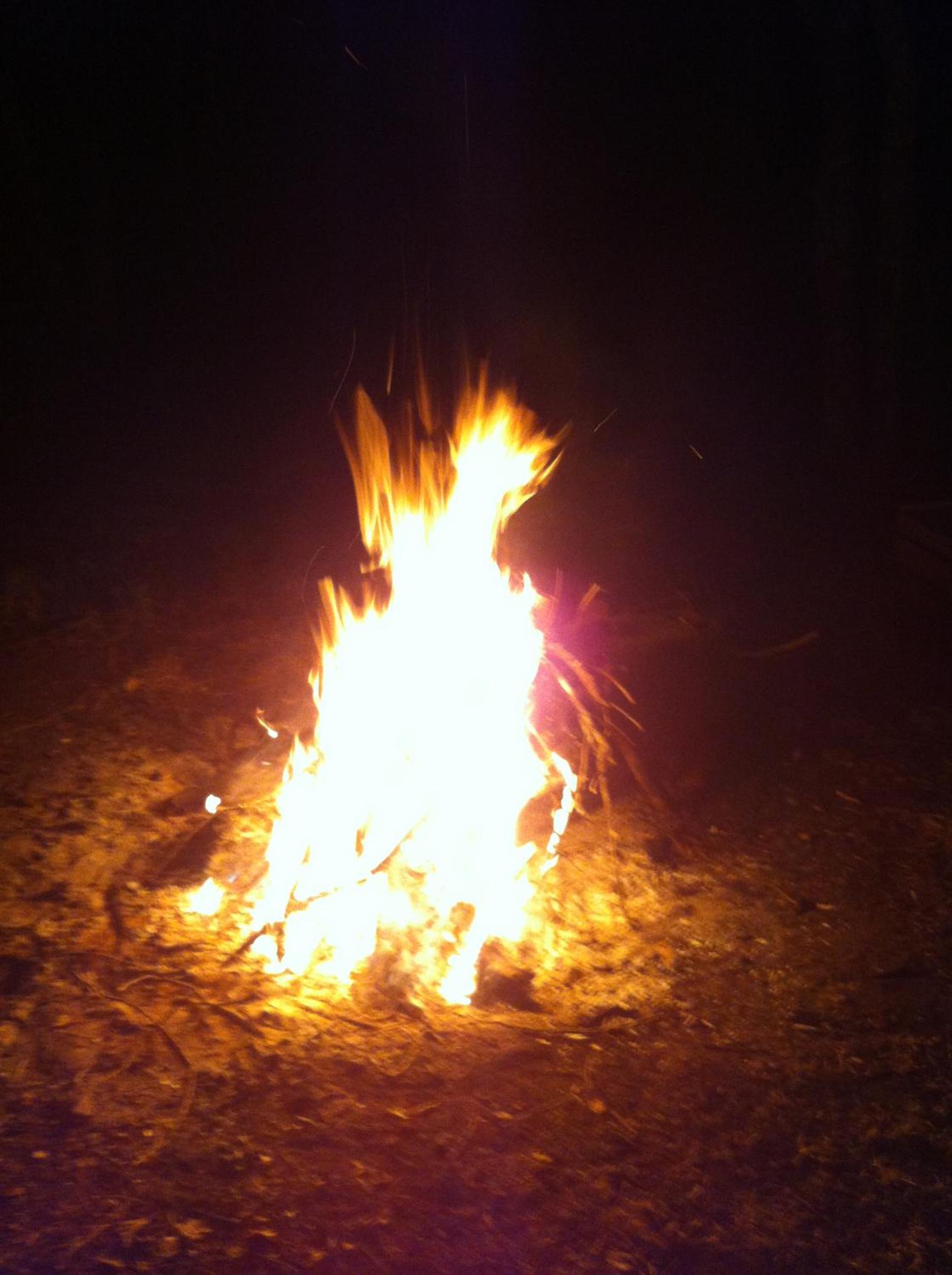 Photo 23