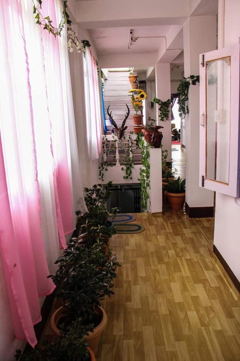 Bliss Homestay