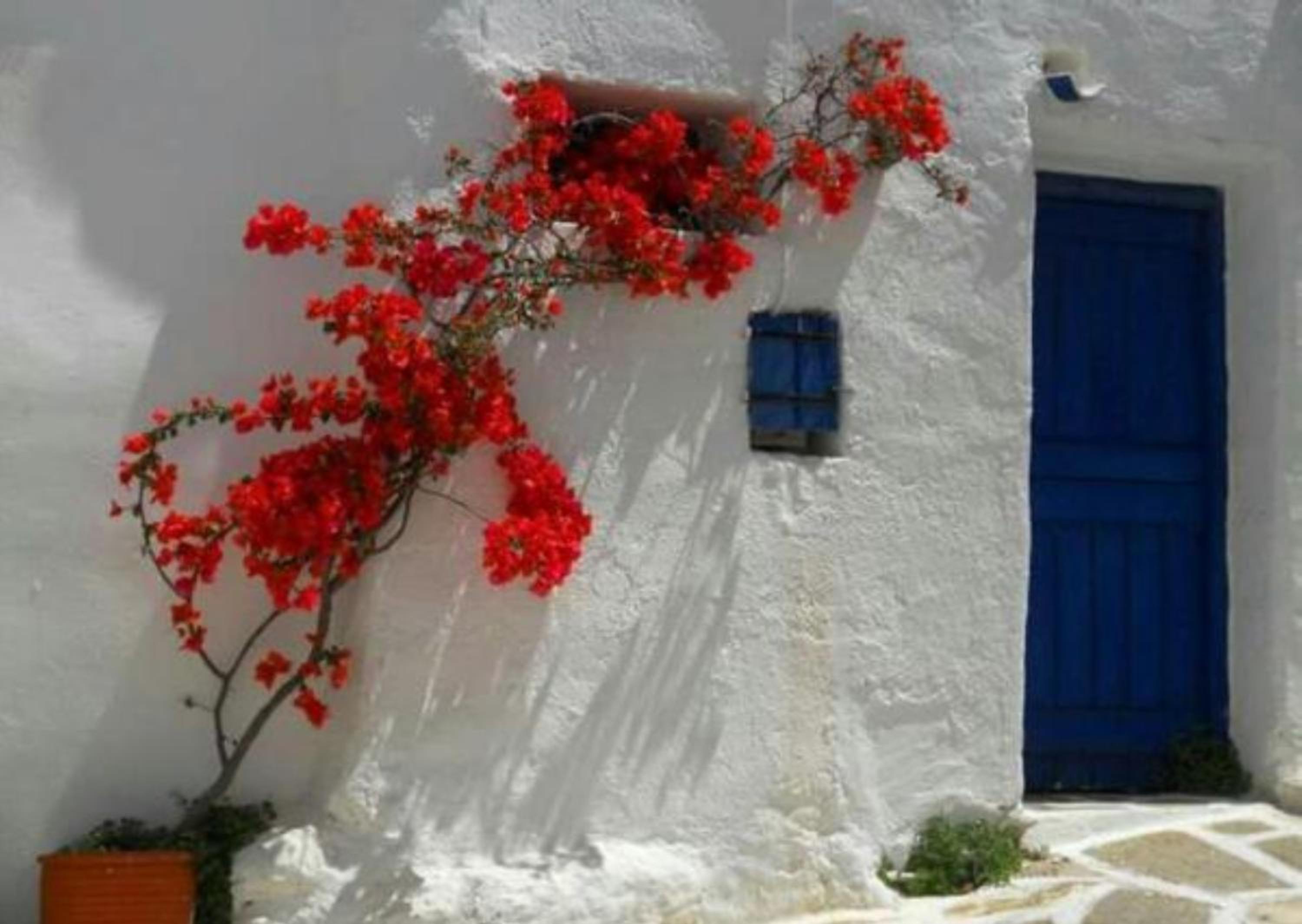 Tinos Suites & Apartments