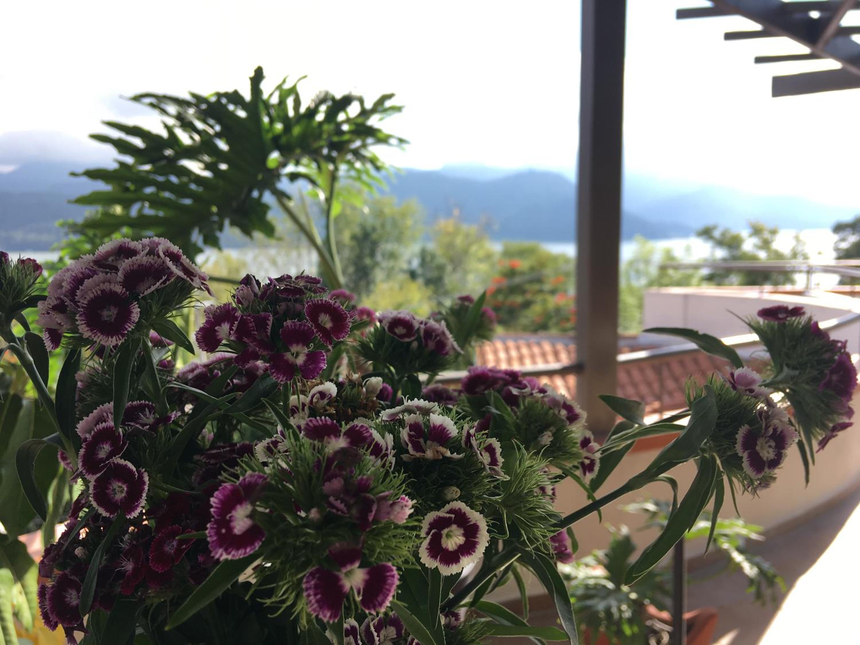 Casa Cielo, photo 27