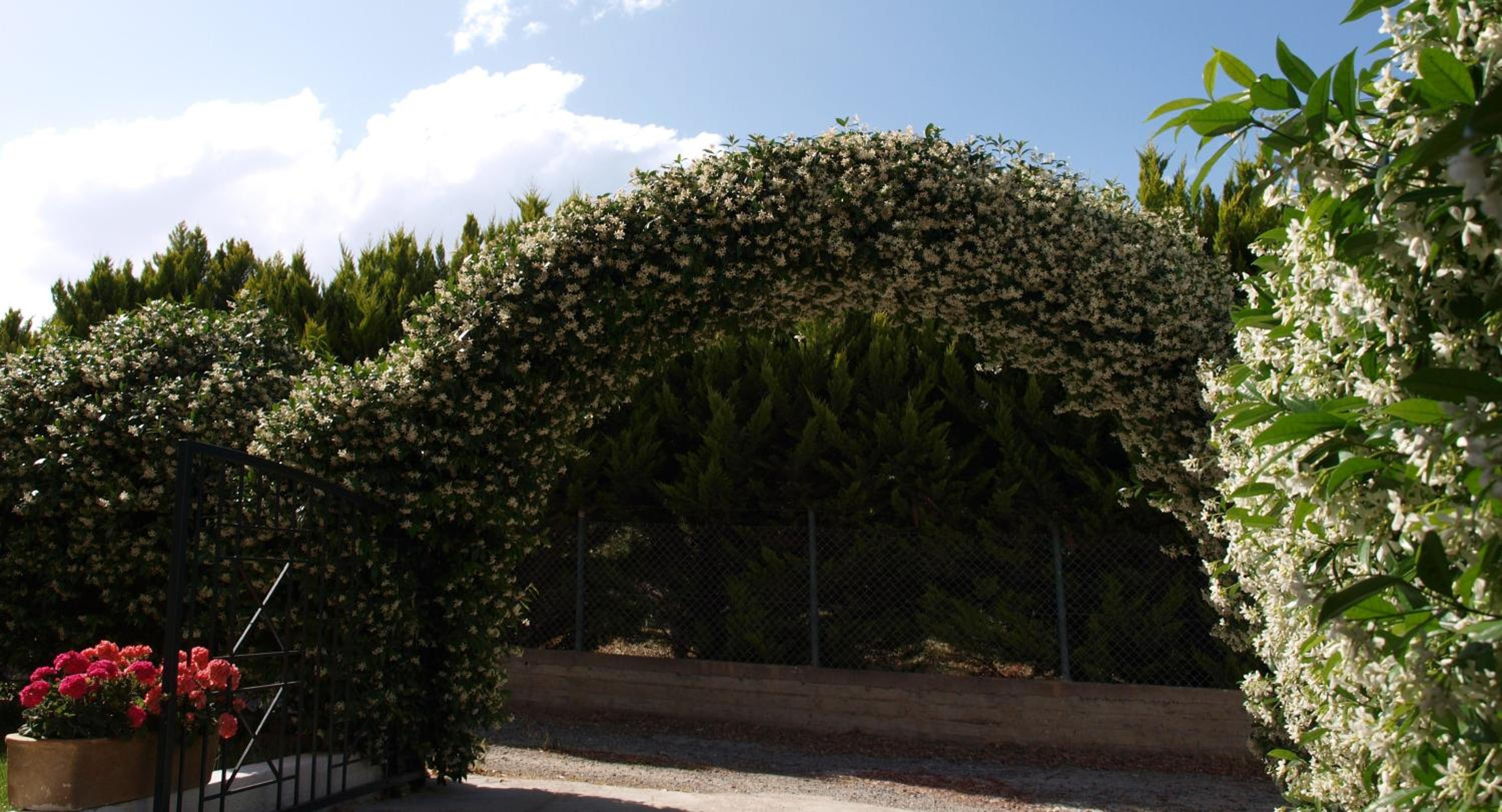 Photo 21
