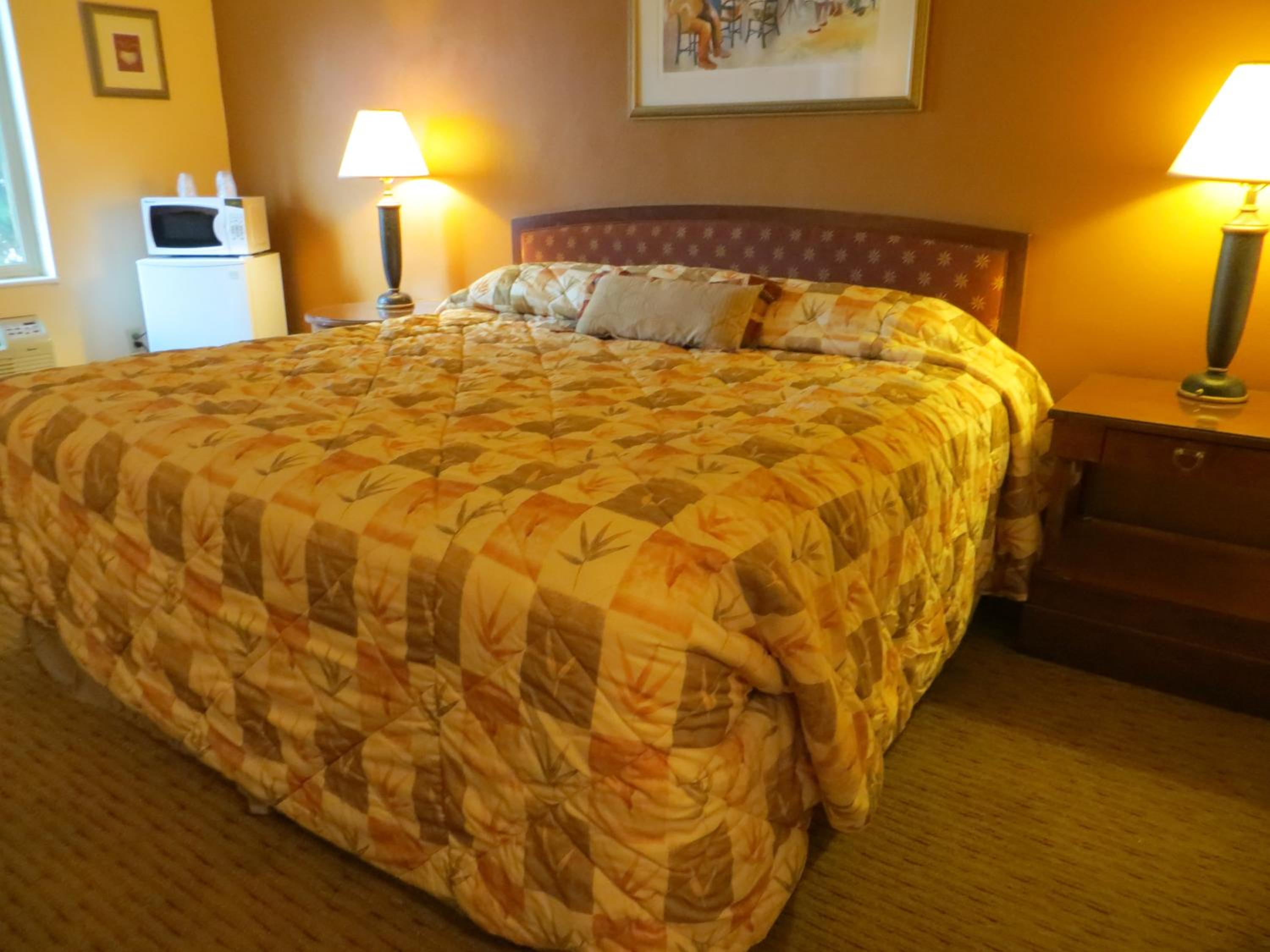 Cameo Motel - Portland view 4