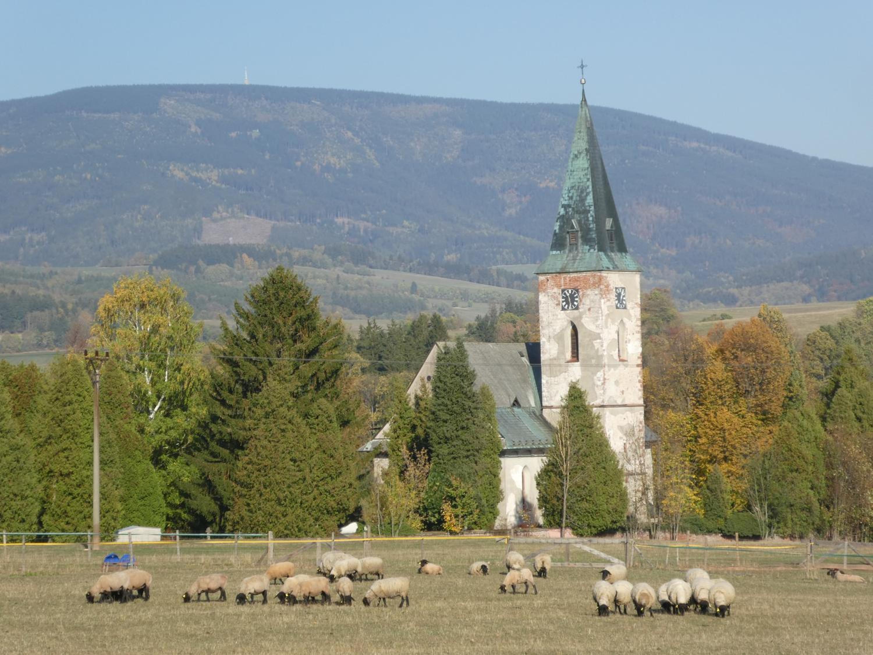 Photo 41