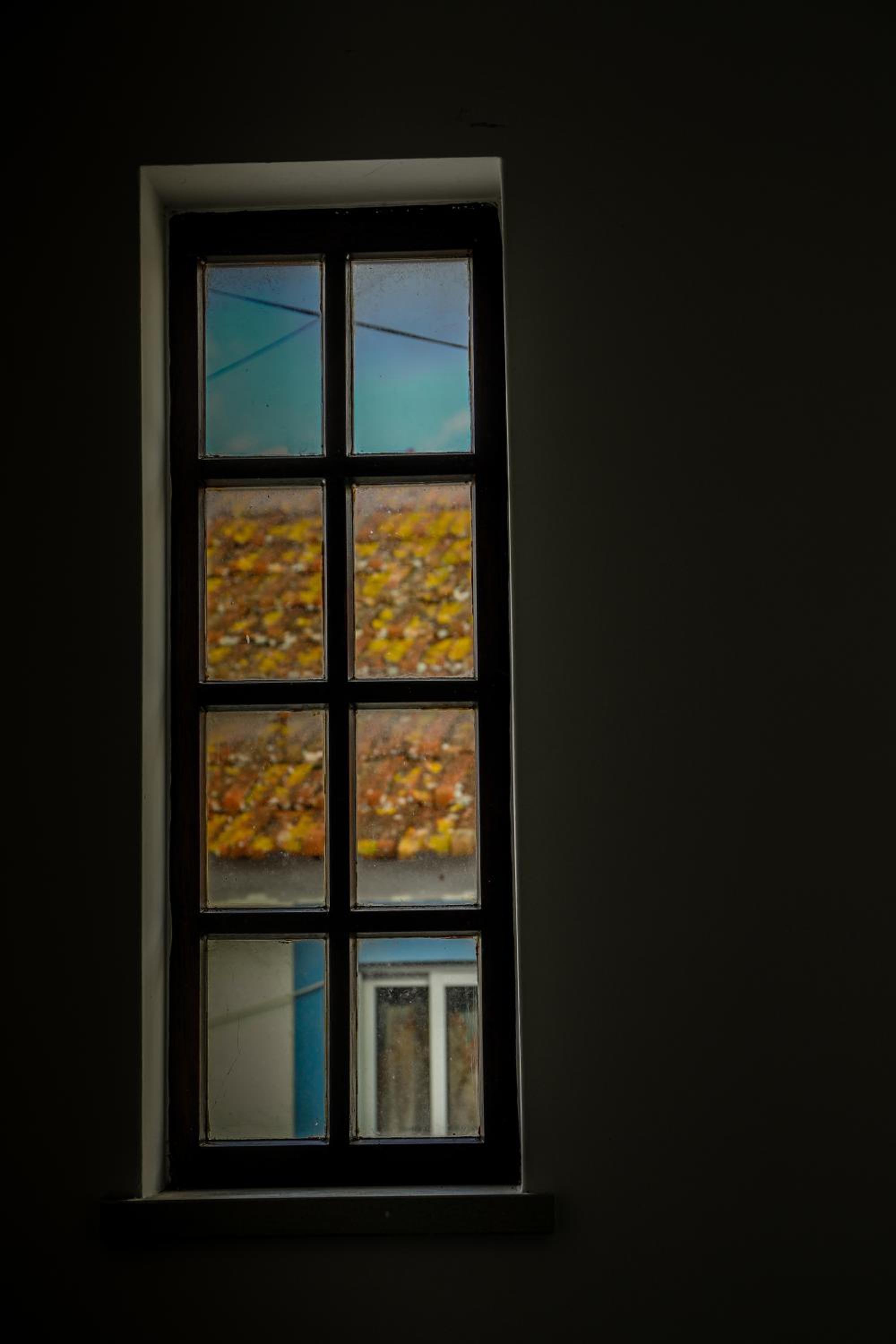 Casa Azul — photo 5