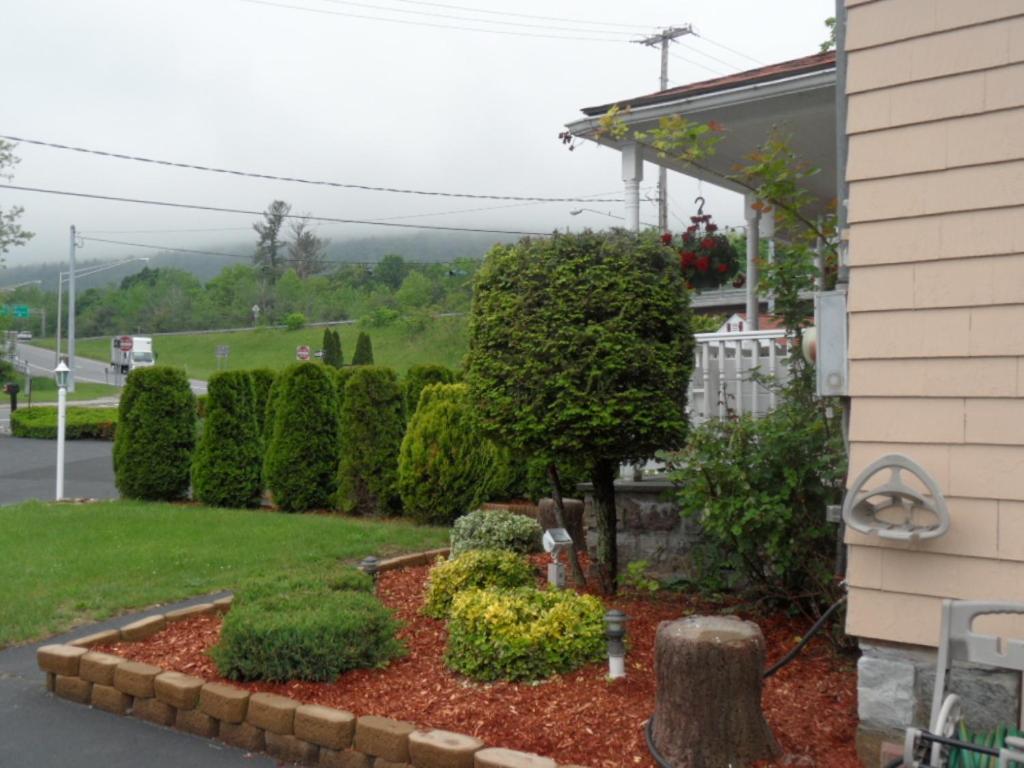Seven Dwarfs Motel & Cabins