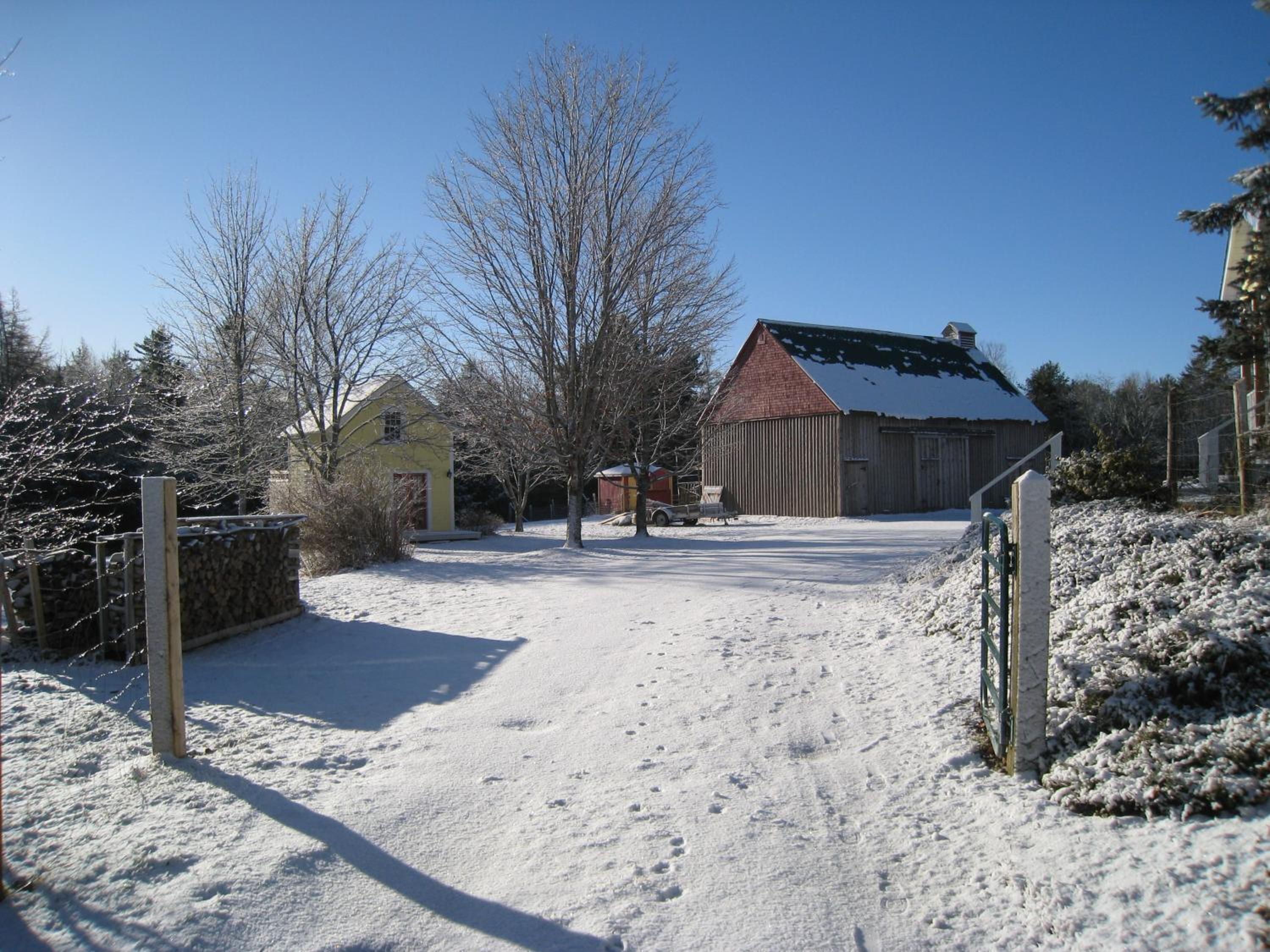 Photo 28
