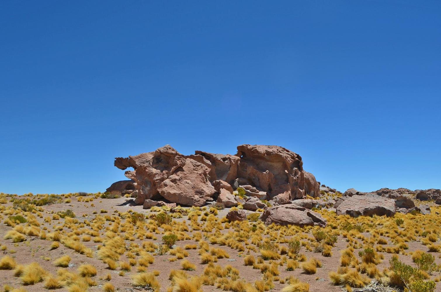 Ckuri Atacama
