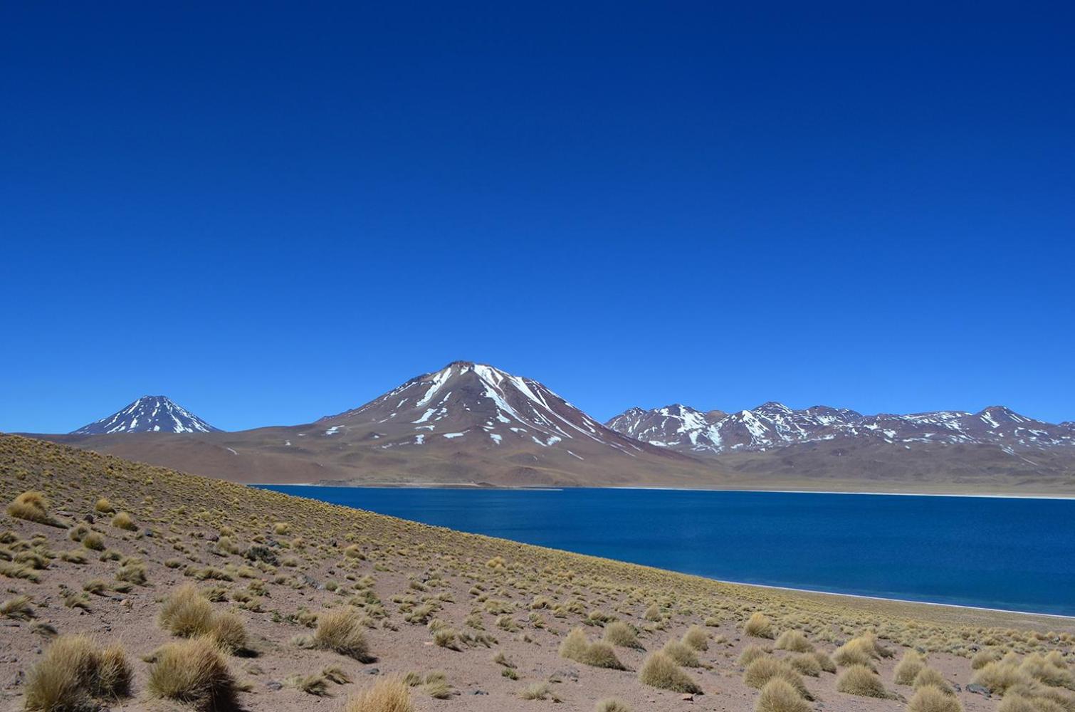 Ckuri Atacama