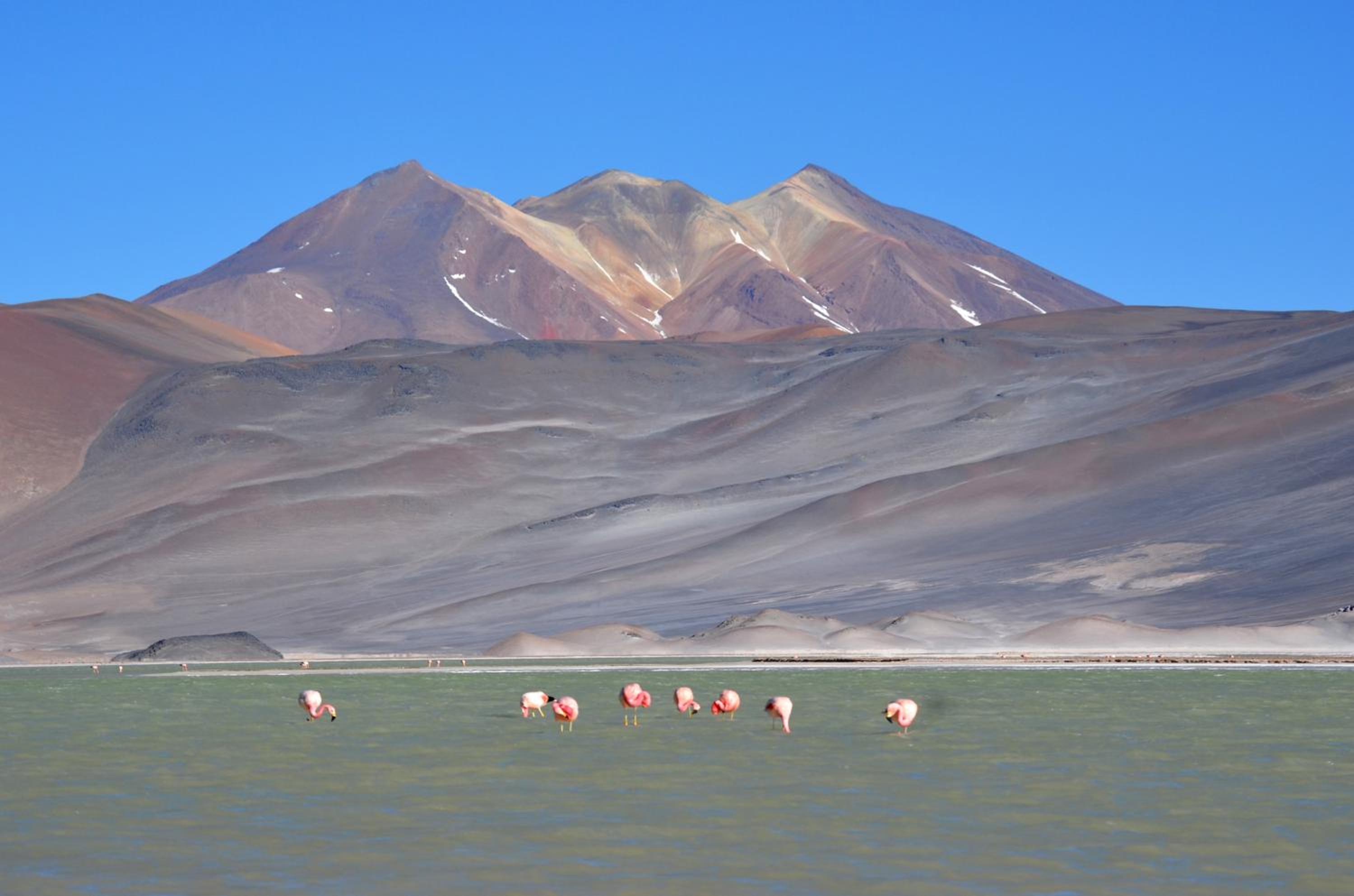Ckuri Atacama