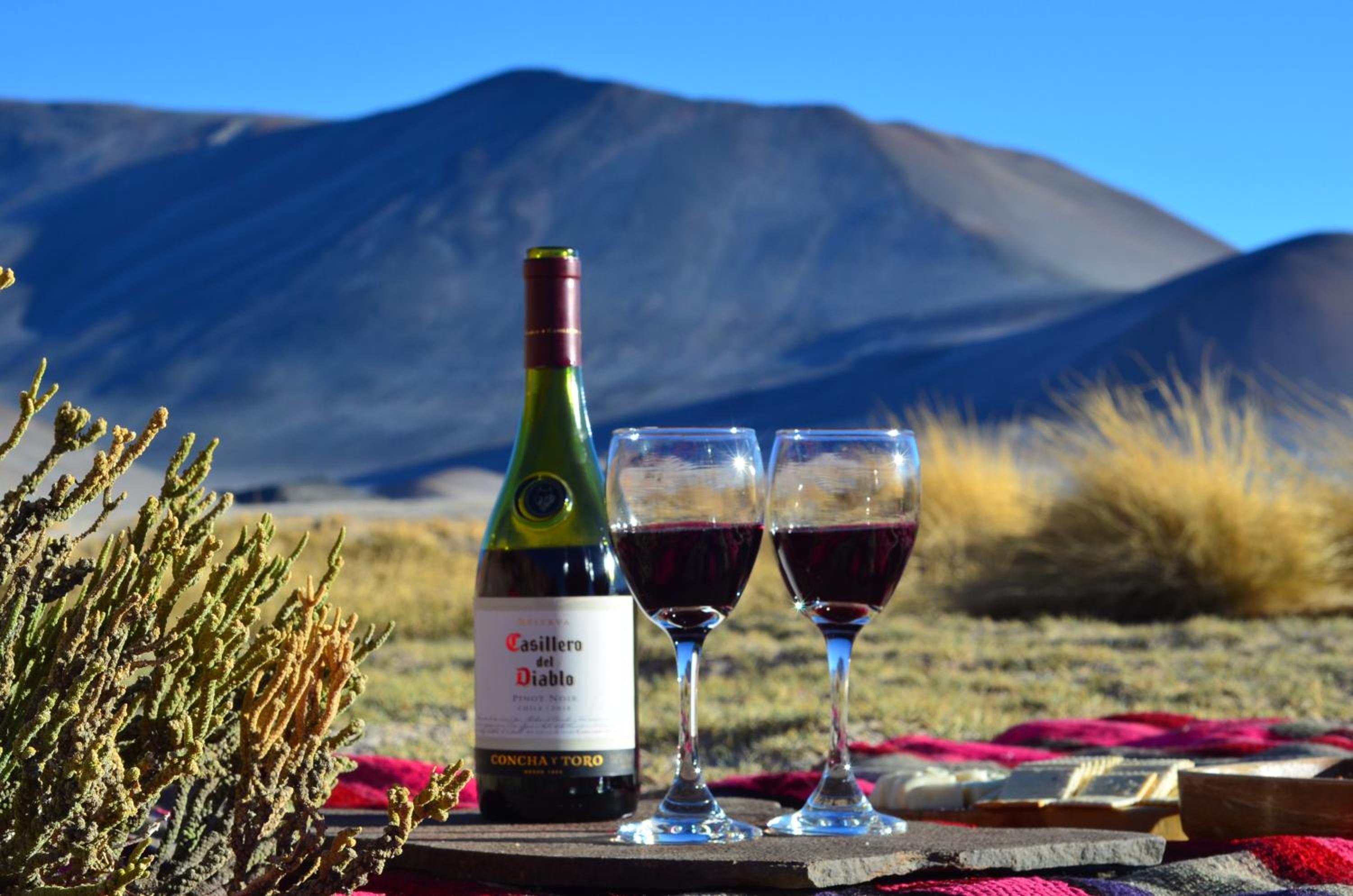 Ckuri Atacama