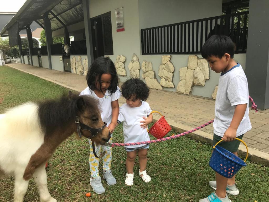 One Global Adria - Equine Estate & Resorts view 5