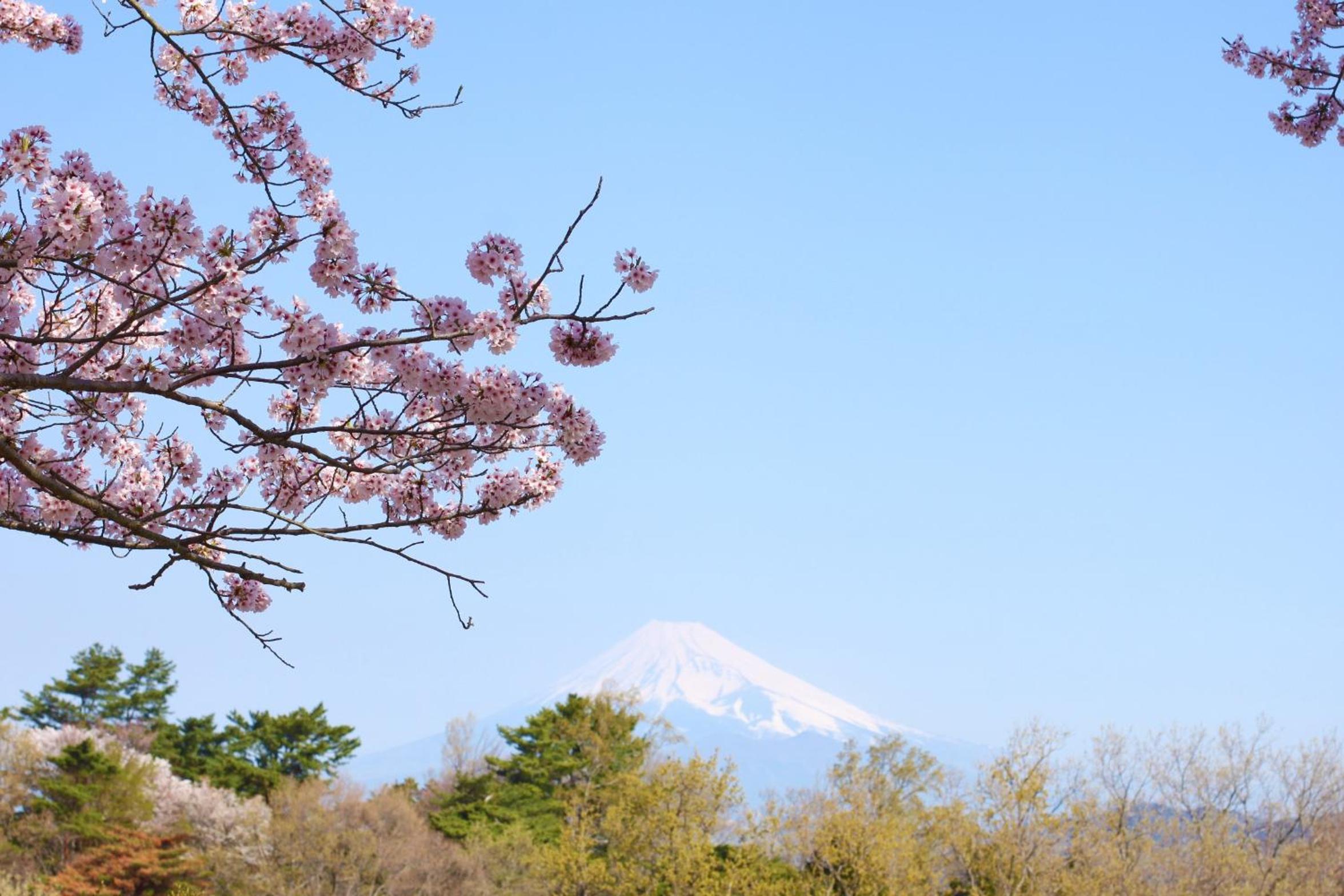 Hotel Laforet Shuzenji