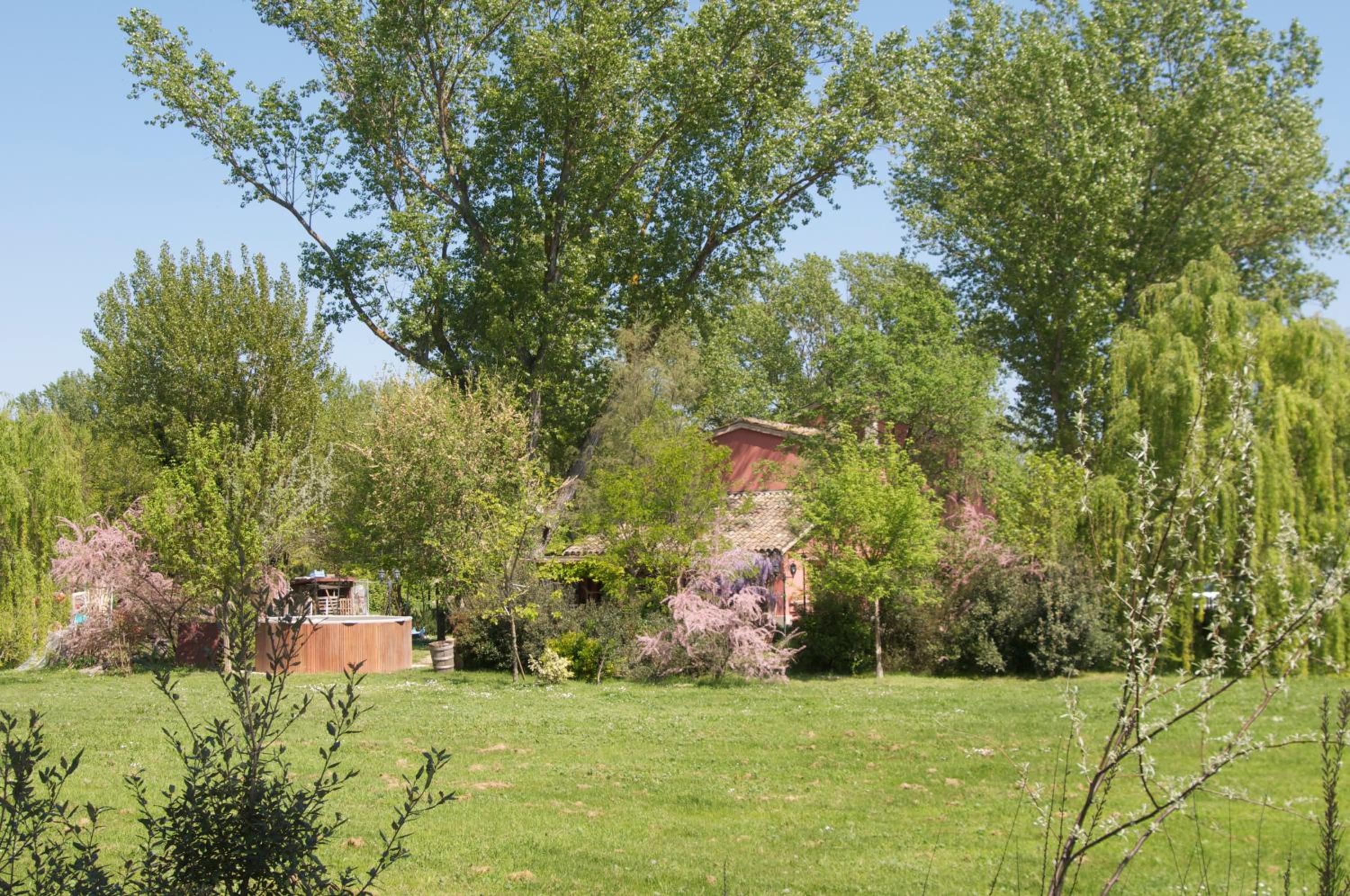 Photo 32