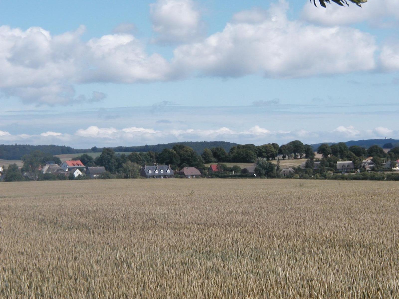 Landhaus am Goor view 5