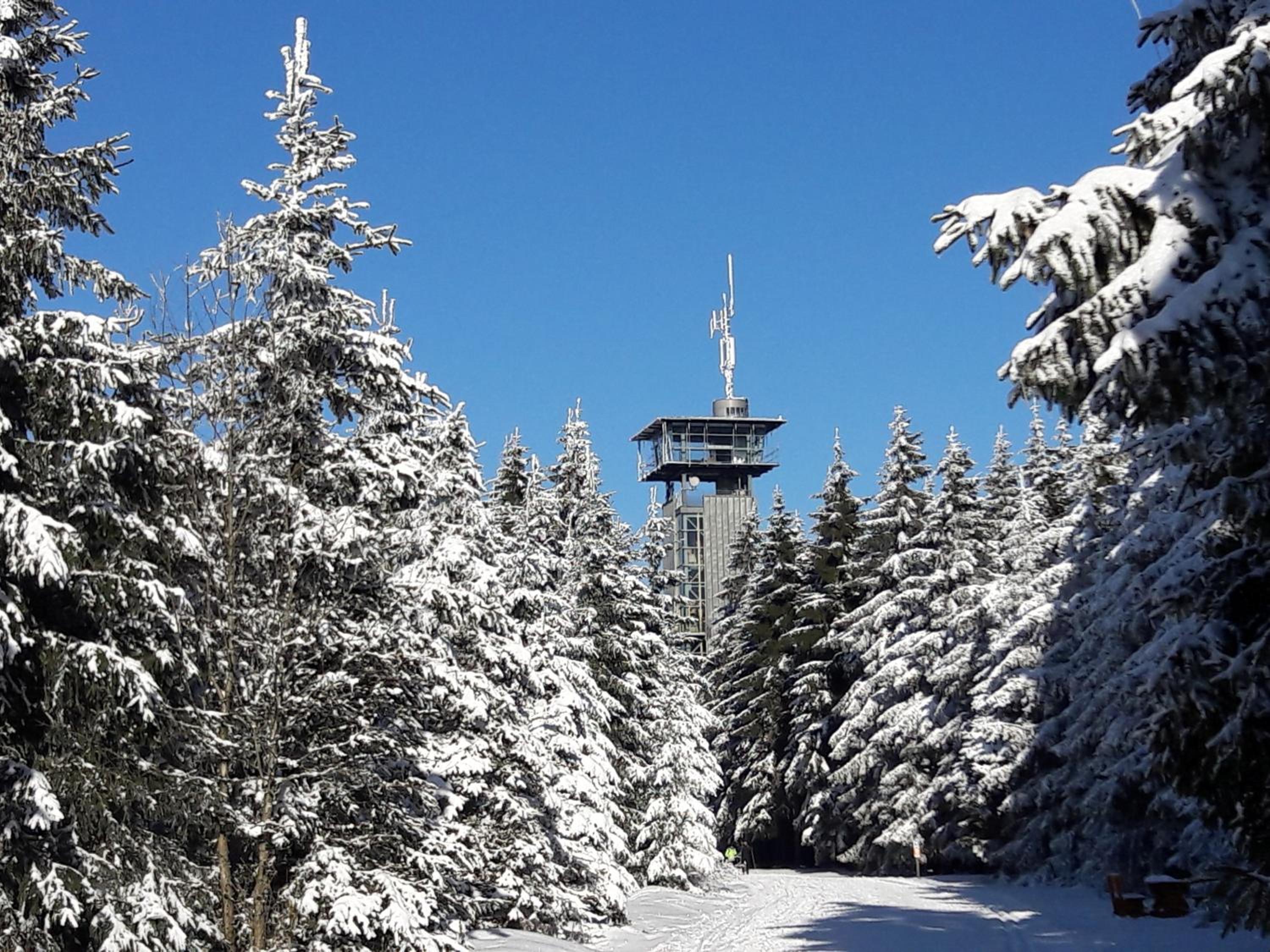 Panoramaferienwohnung Bergwiese