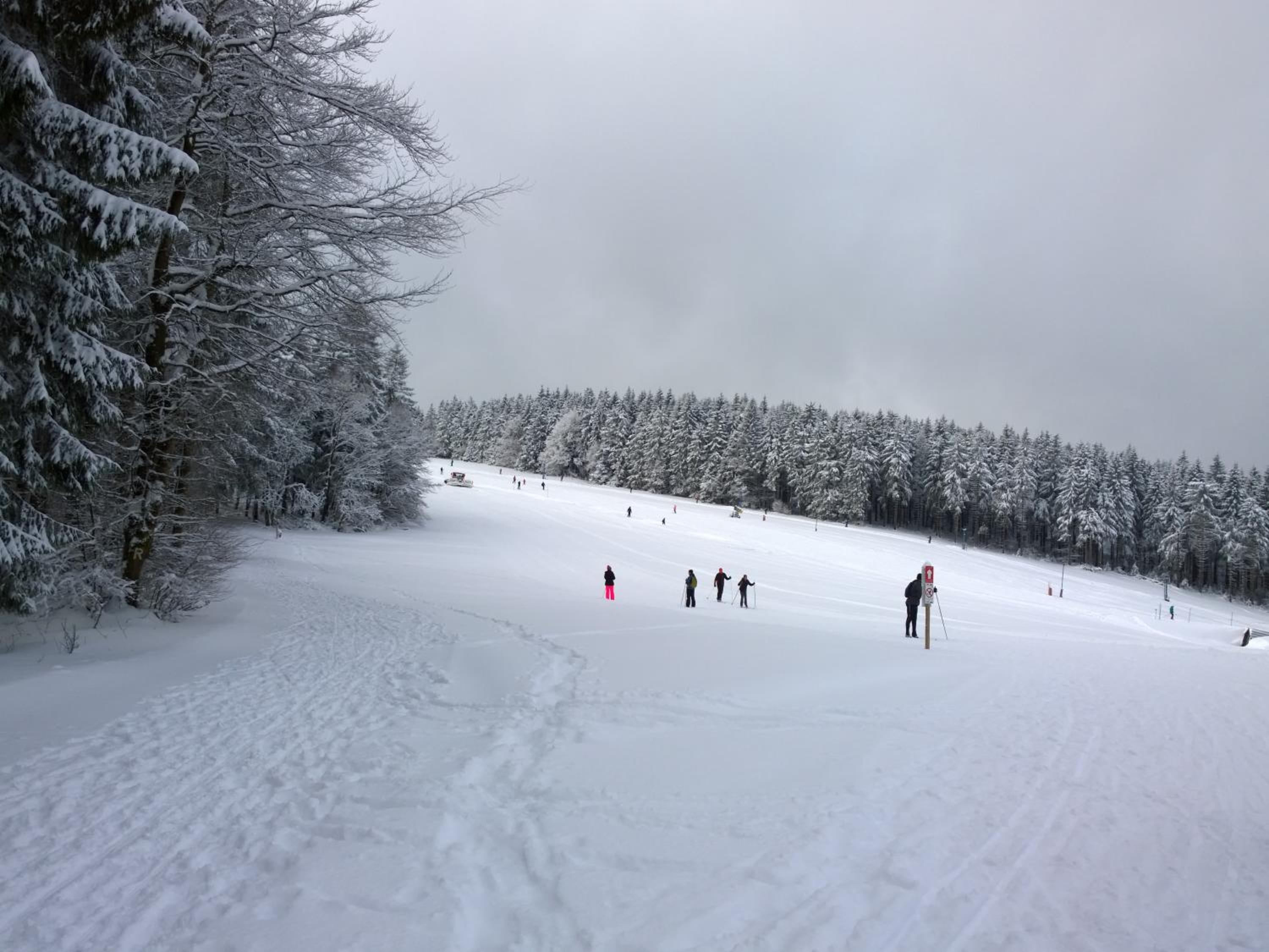 Panoramaferienwohnung Bergwiese