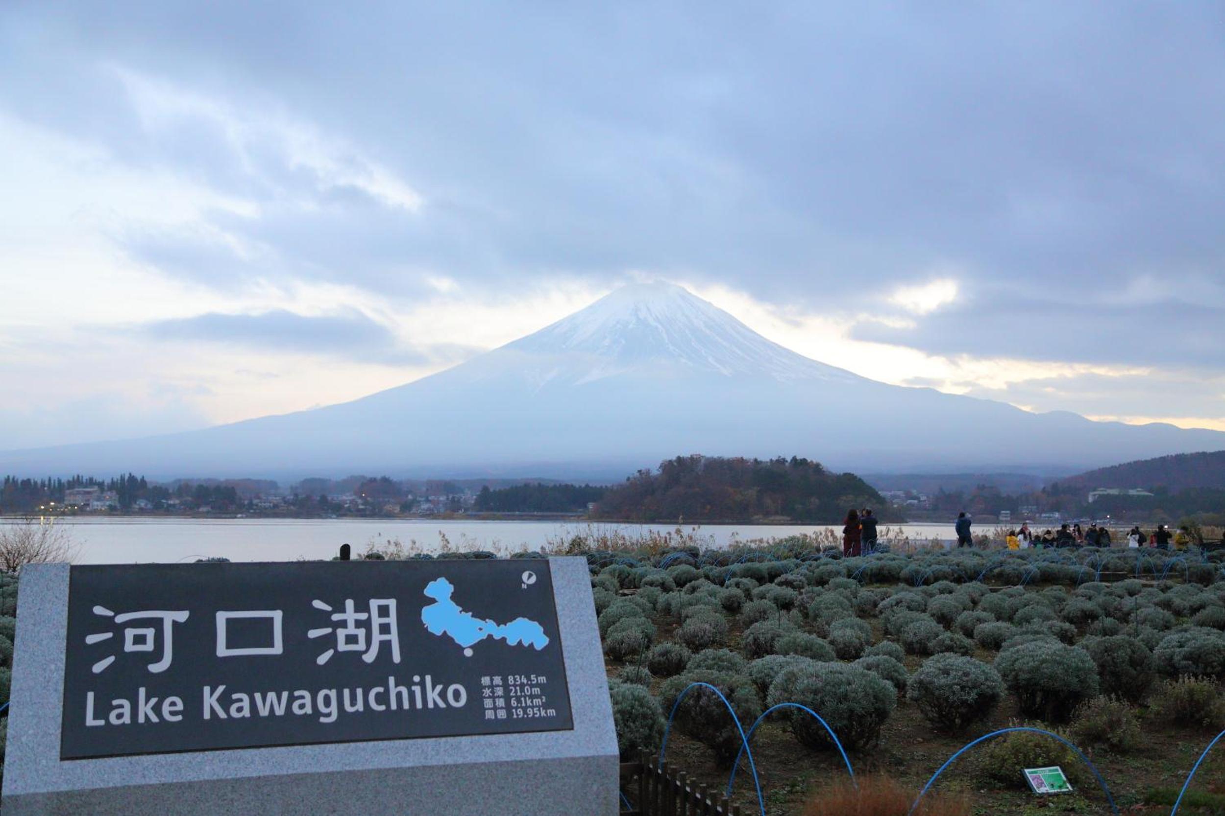 Photo 43