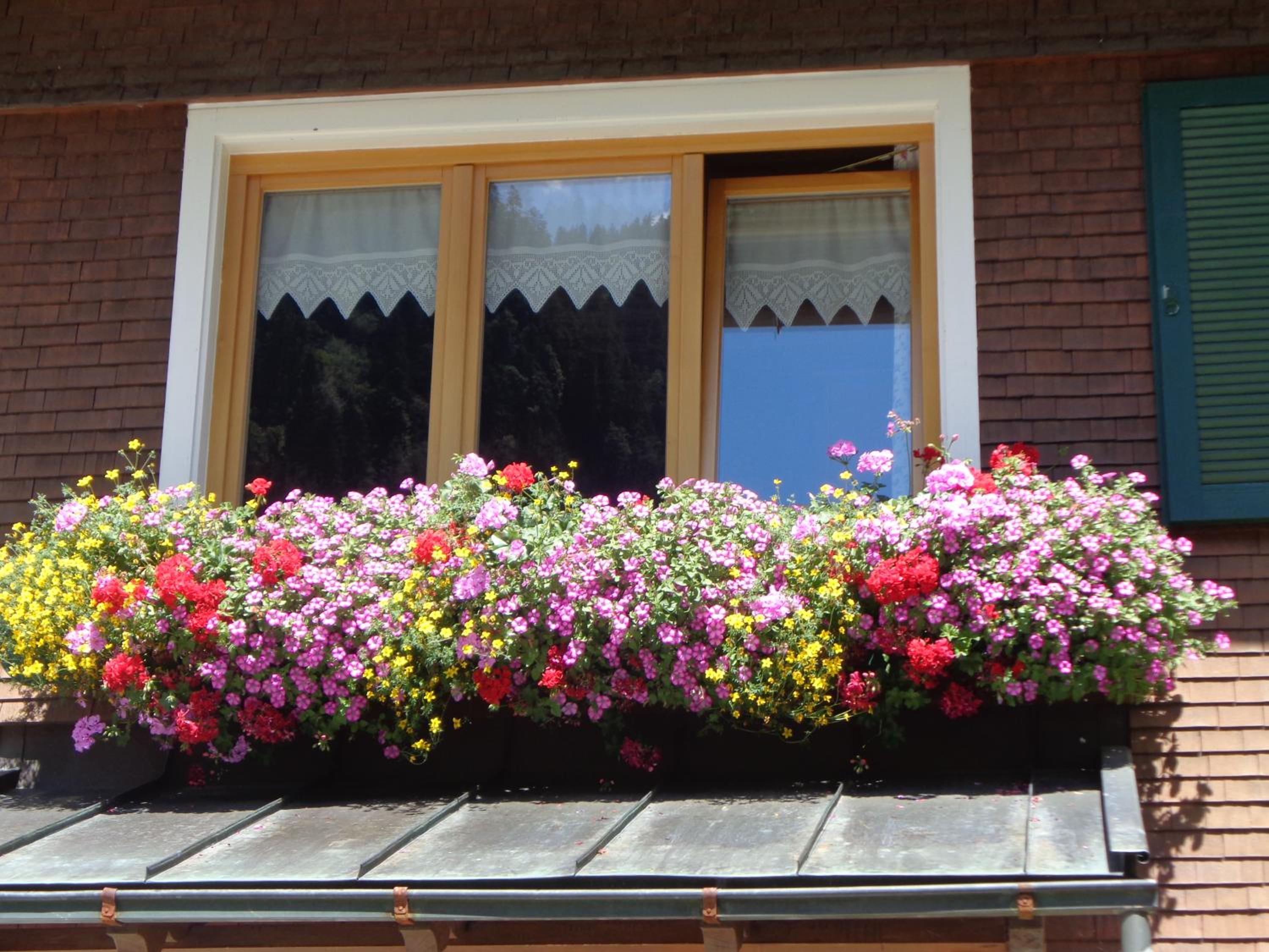 Haus Annelies