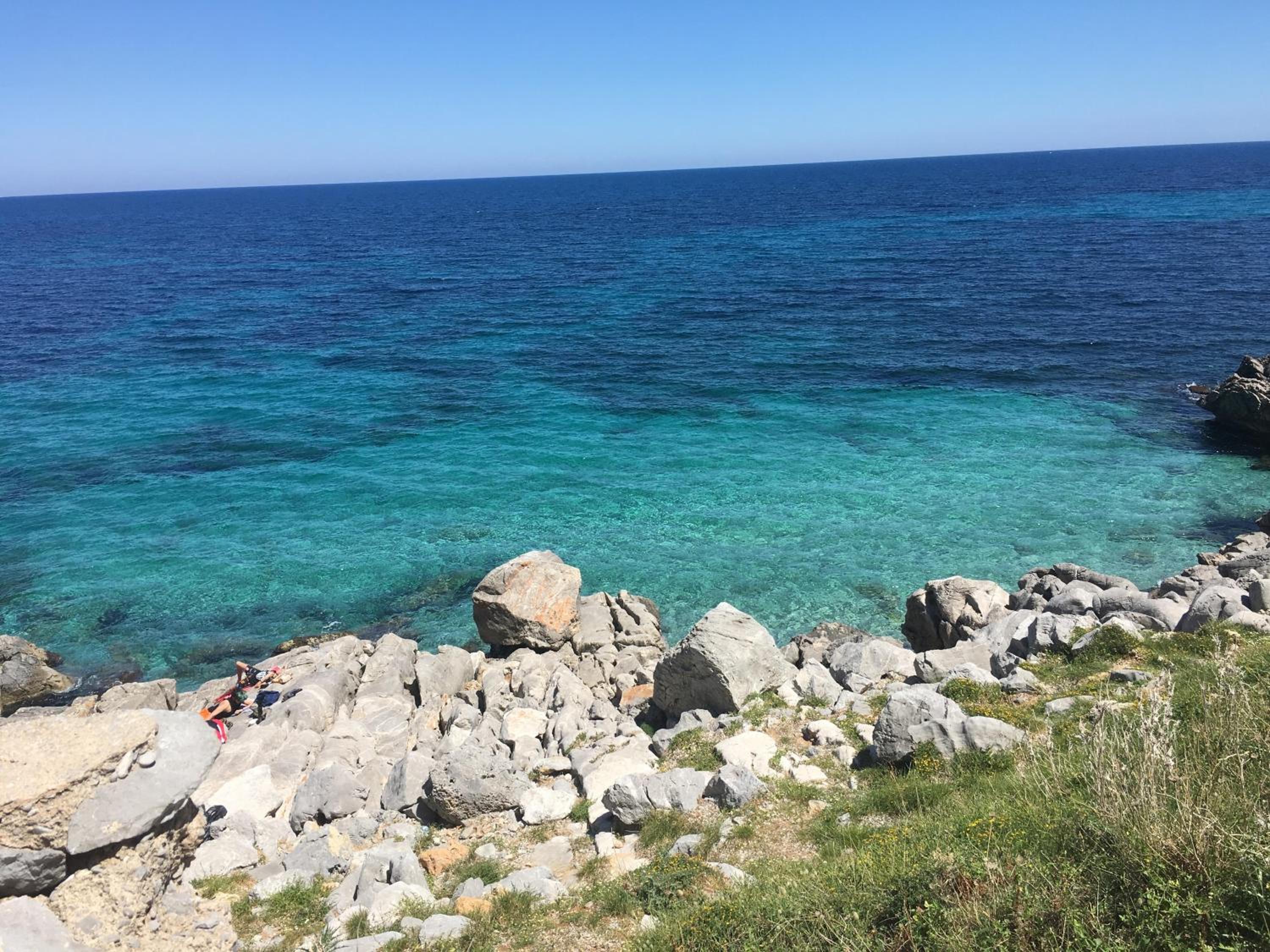 Monolocale I Delfini