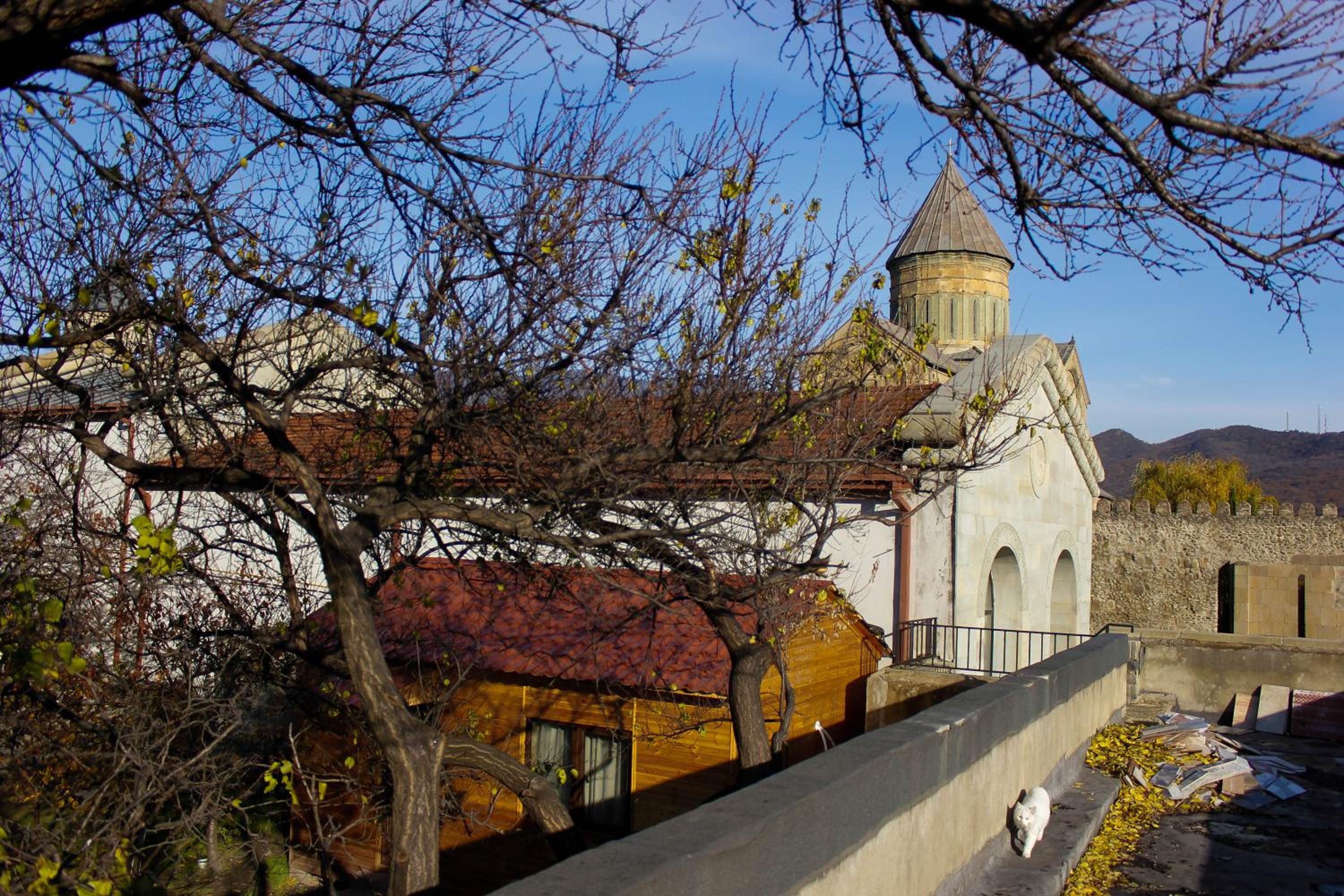 Oasis Mtskheta