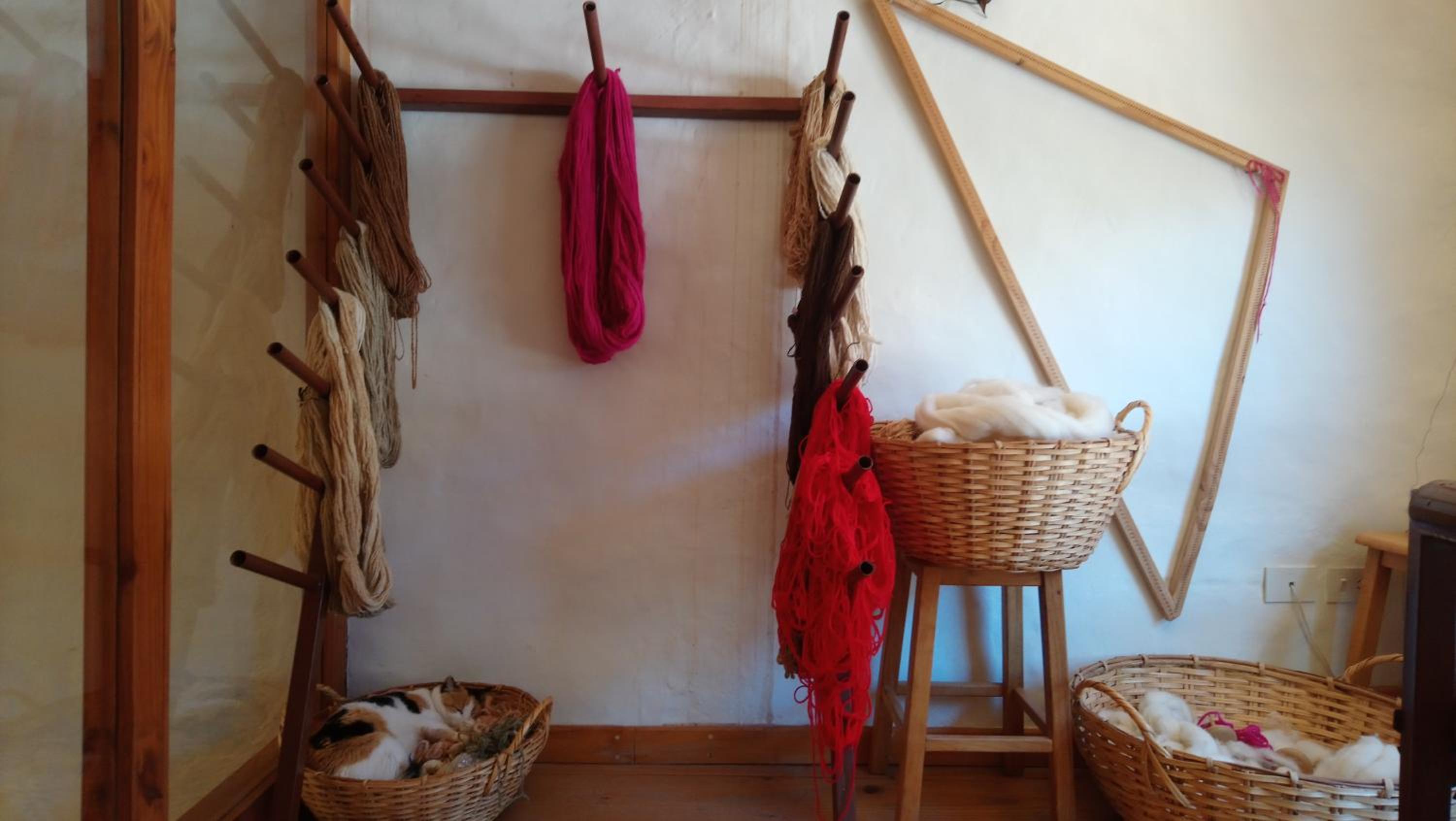 Del Amauta Hosteria