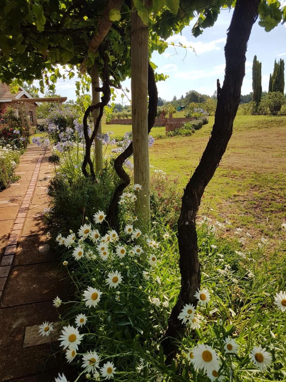 MyAula view 5