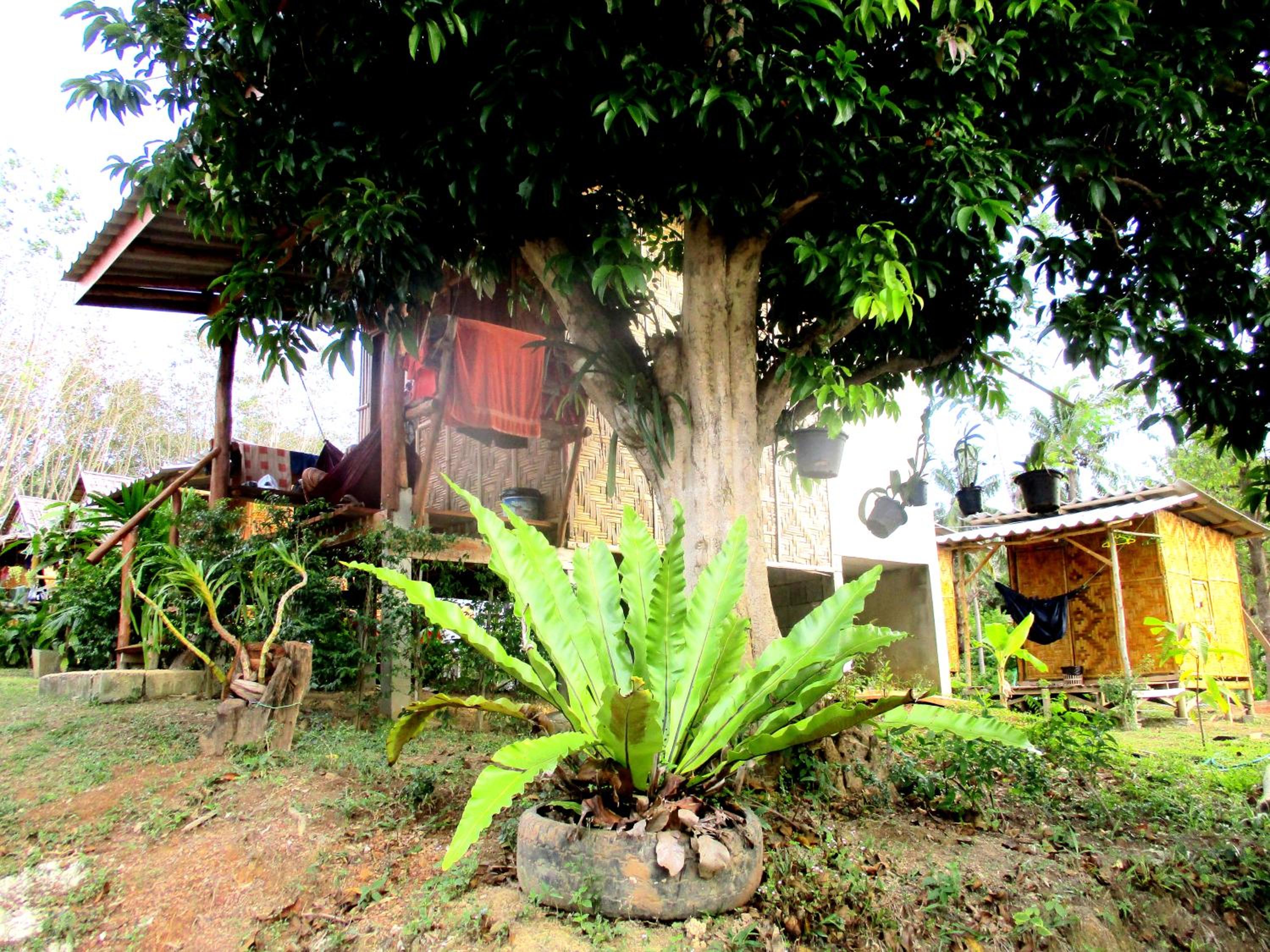 Asama Bungalow