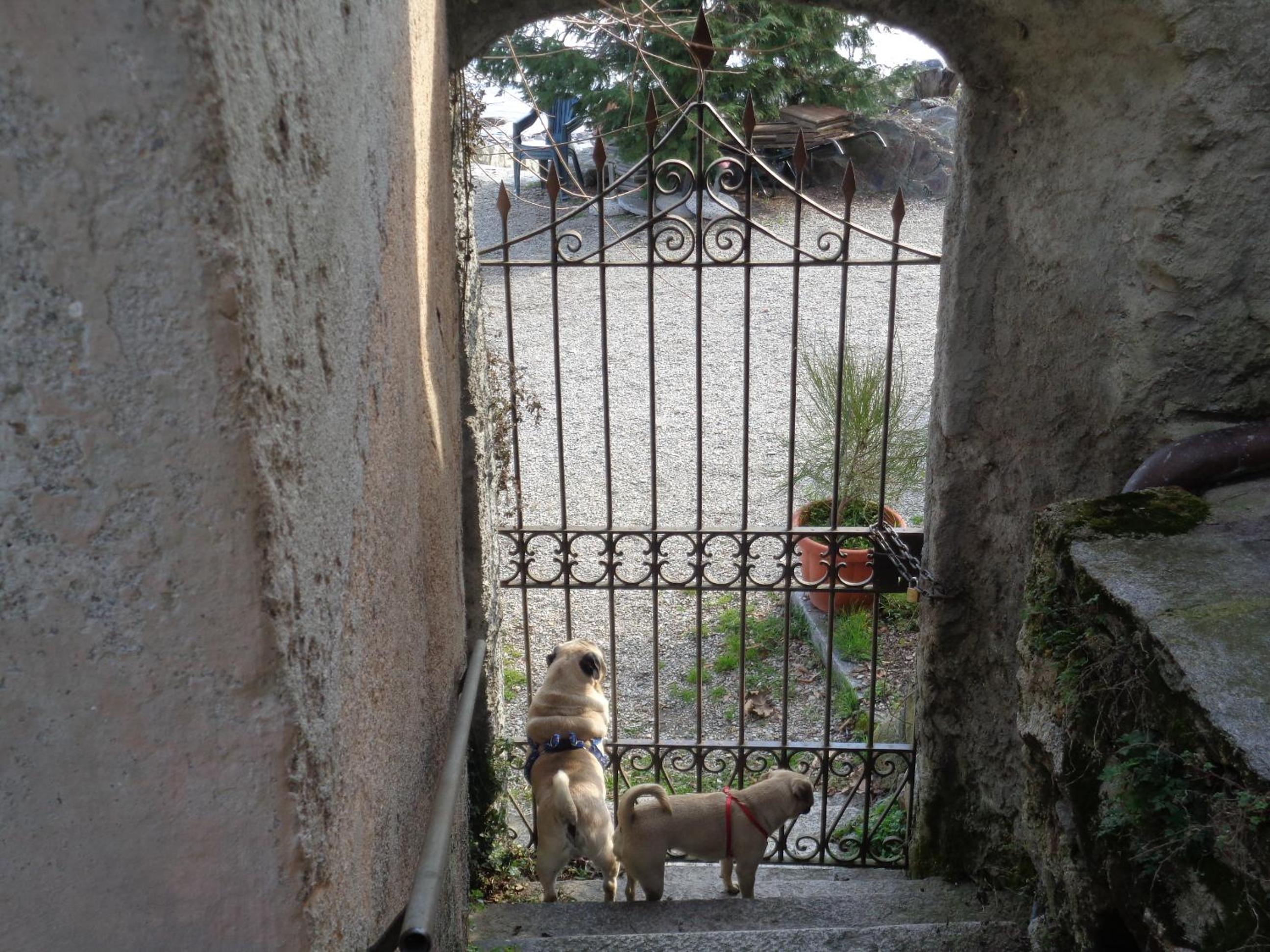 Photo 43